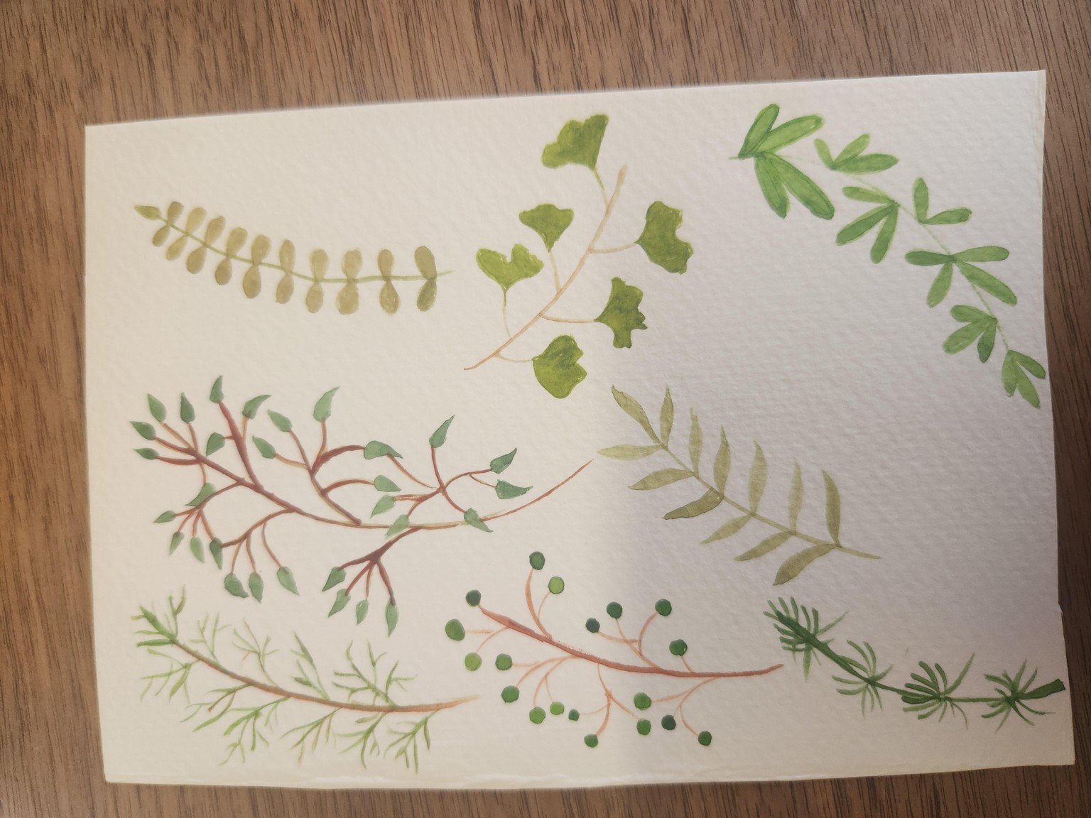 Lovely Leafy Leaves - image 4 - student project