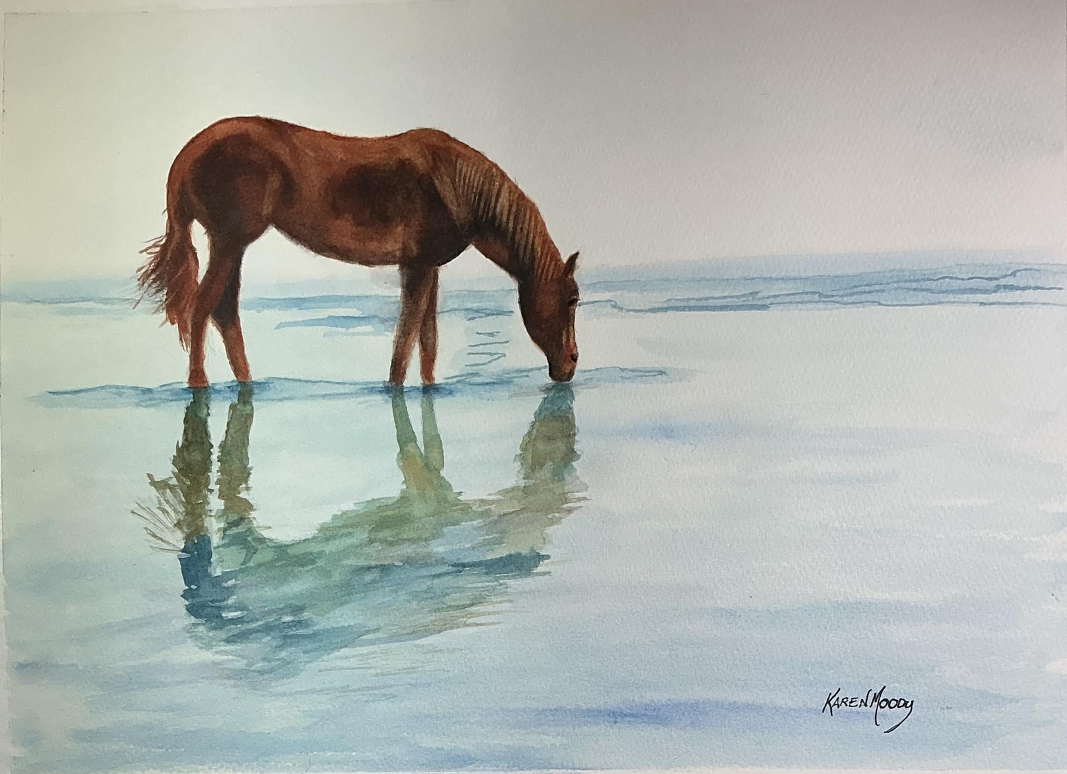 Horse in wetlands - image 1 - student project