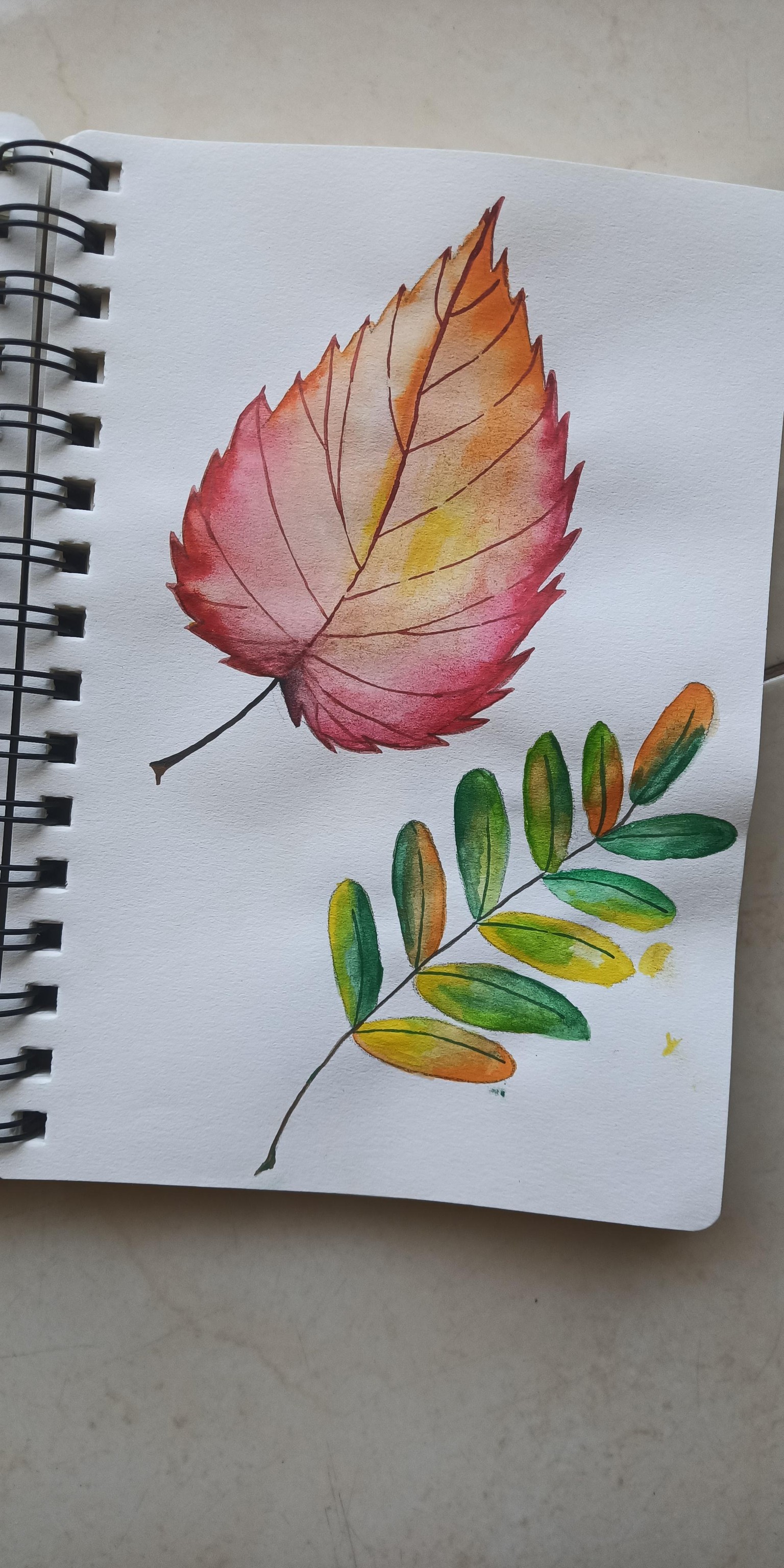 Leaf project - image 3 - student project