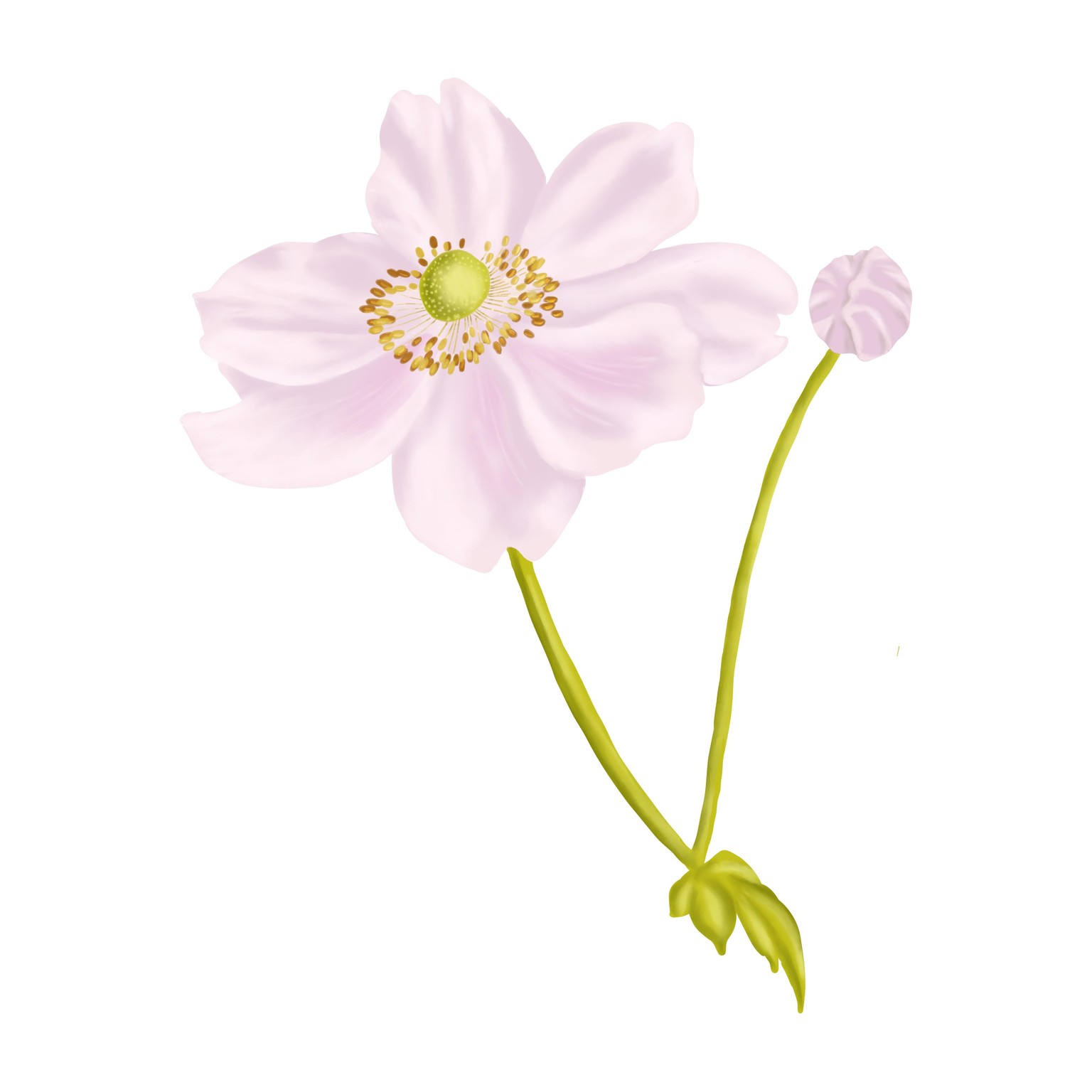 10 Day Challenge… so far - image 2 - student project