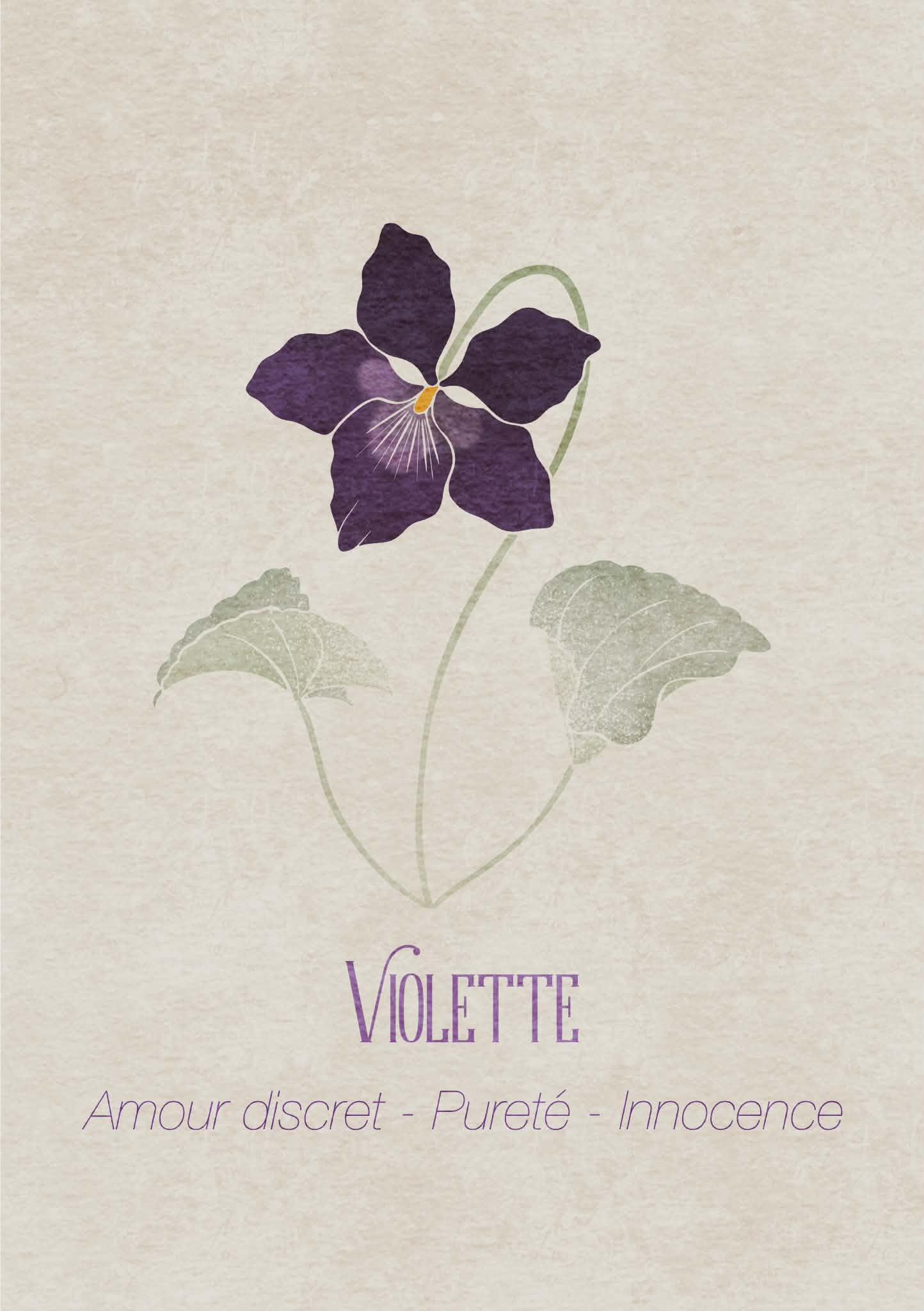 Perce-Neige / Violette - image 2 - student project