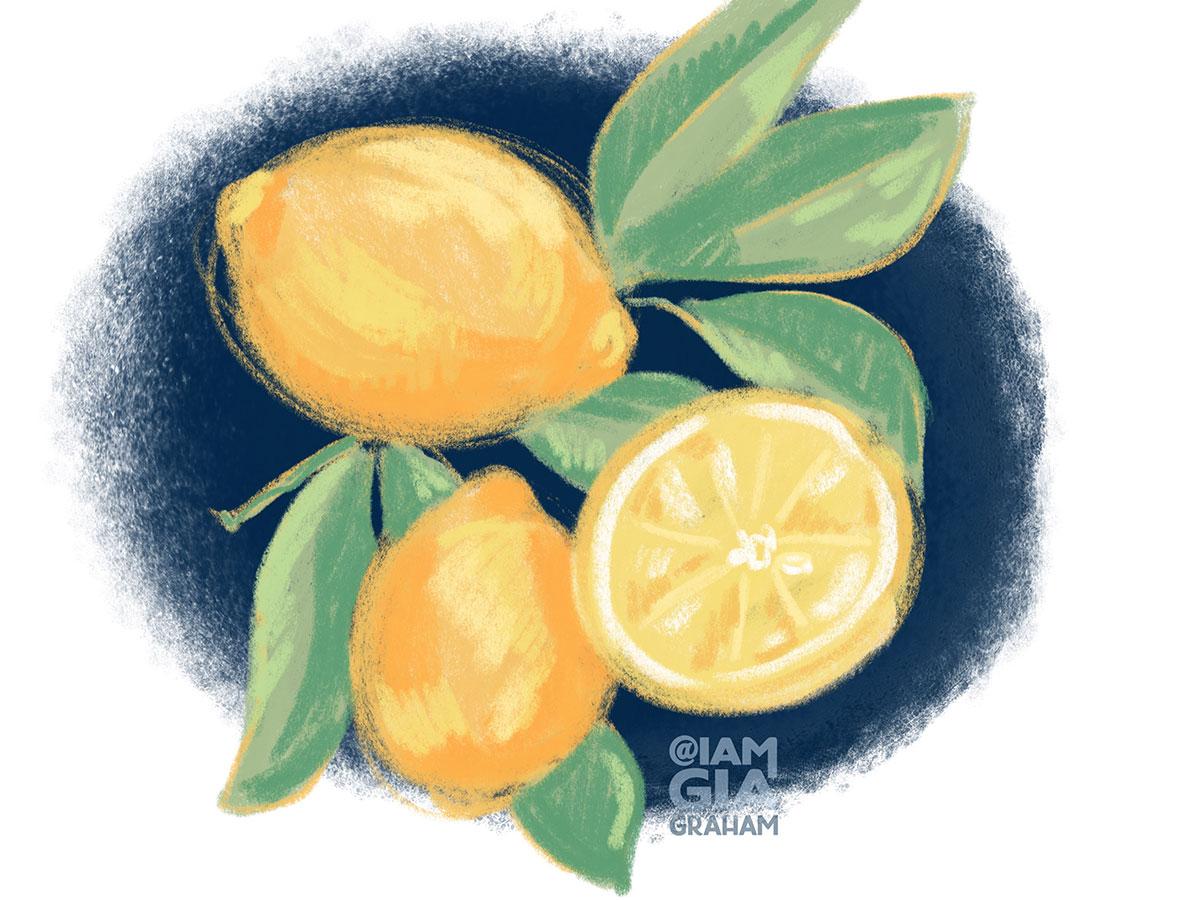 Sketchy Lemons - image 2 - student project