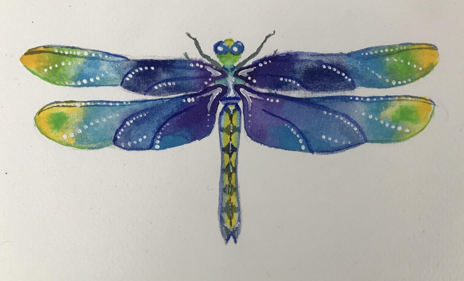 Libelle - image 1 - student project