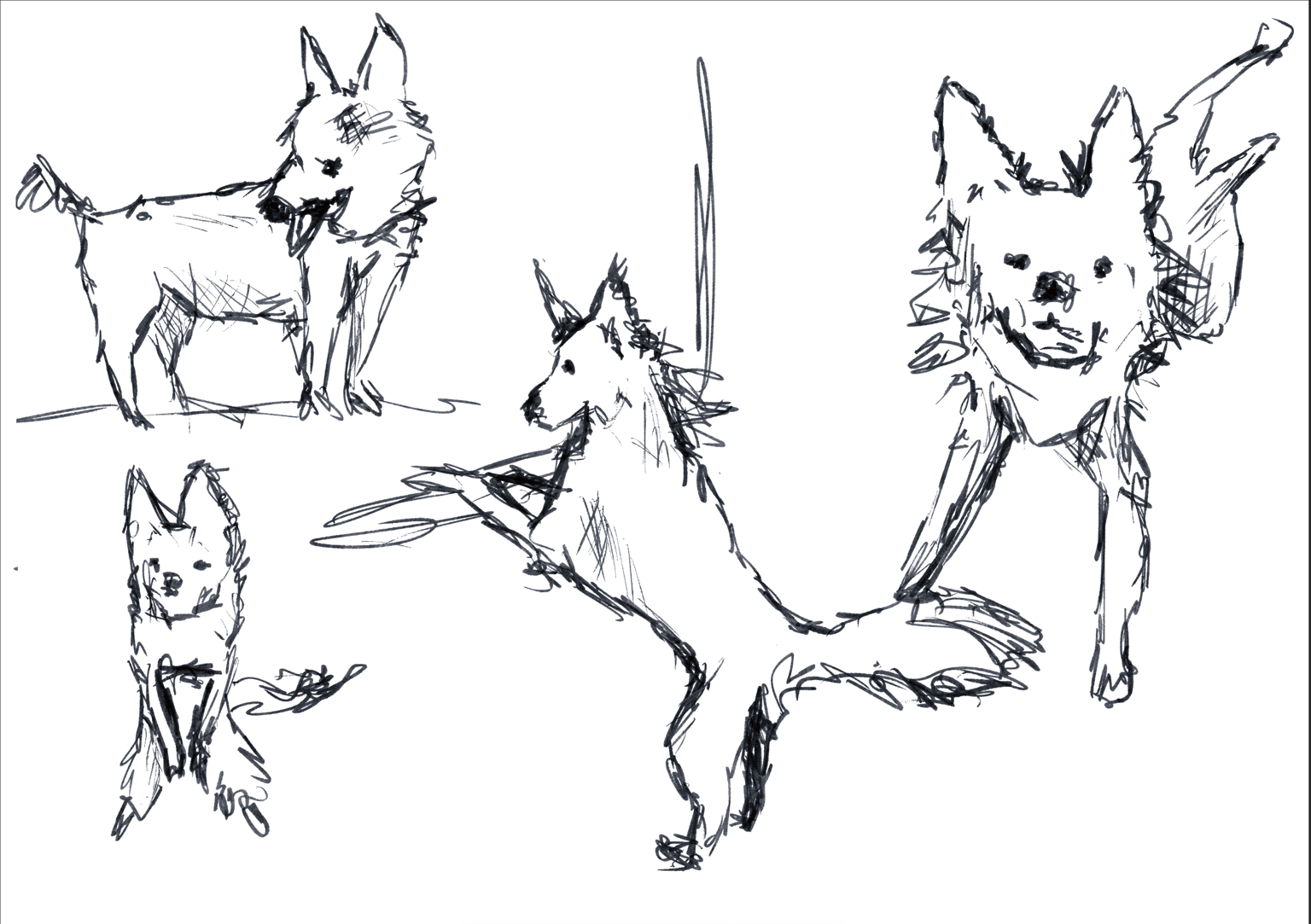 Doodle dogs - image 3 - student project