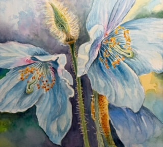 Cheryl's Poppies - image 2 - student project