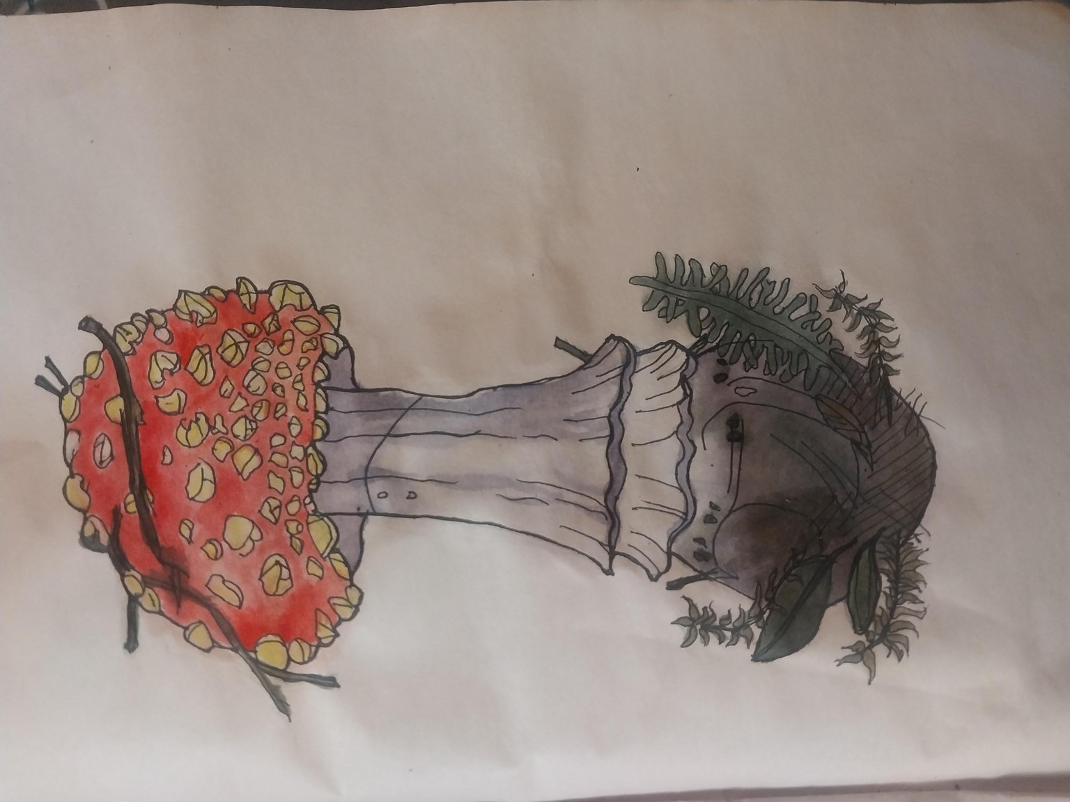 Mushroom Illustration - image 2 - student project