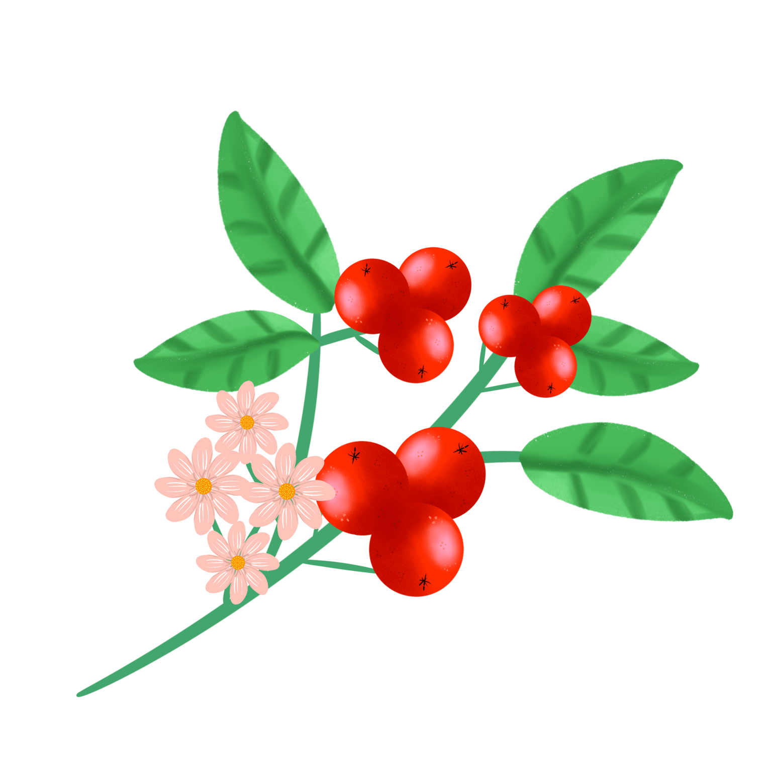Procreate Final Botanical Plant - image 1 - student project
