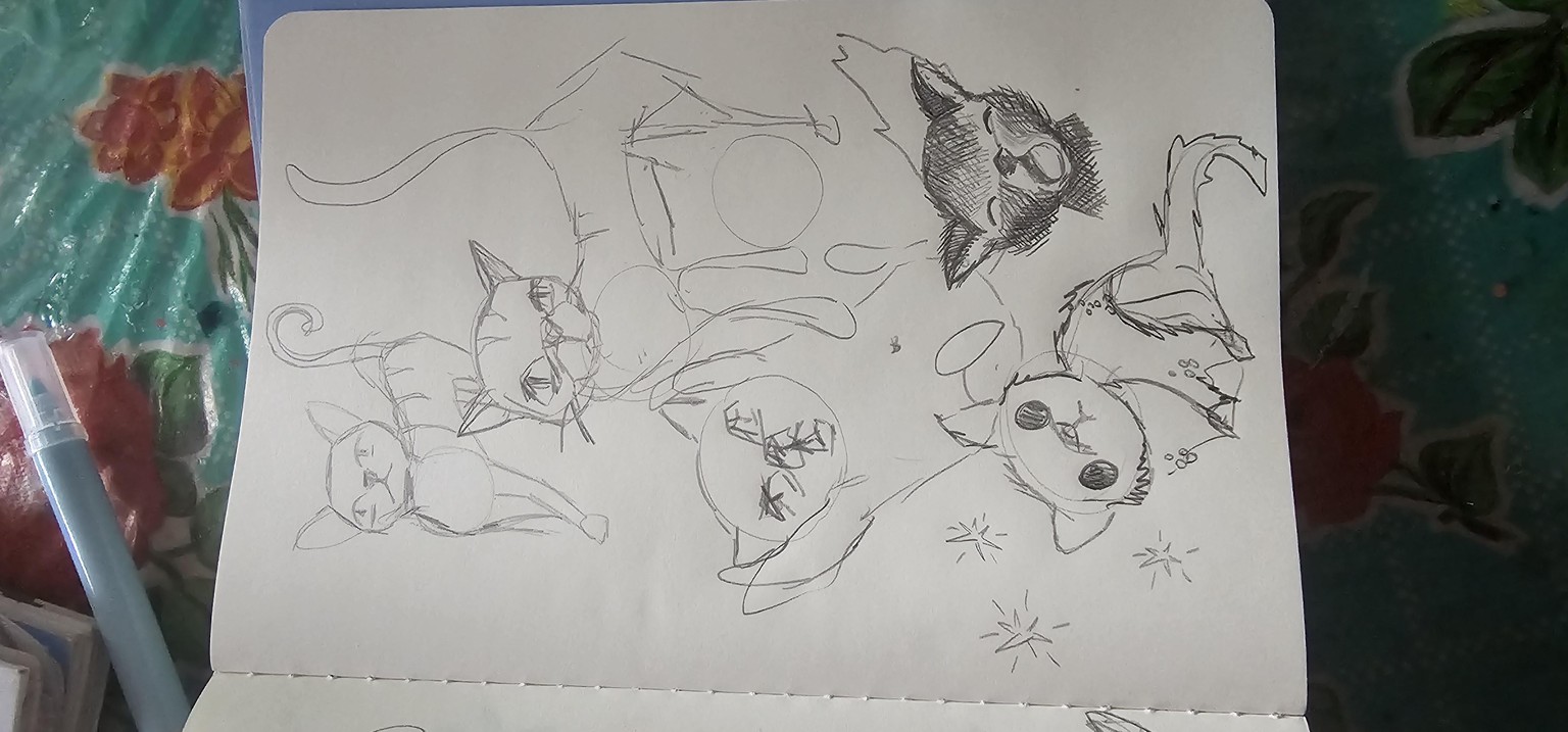 Meow - image 1 - student project