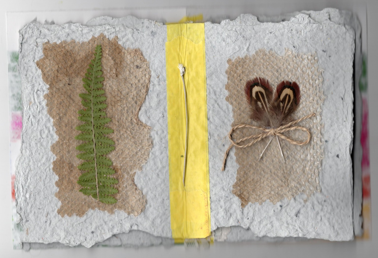Paper Successes and Failures - image 2 - student project