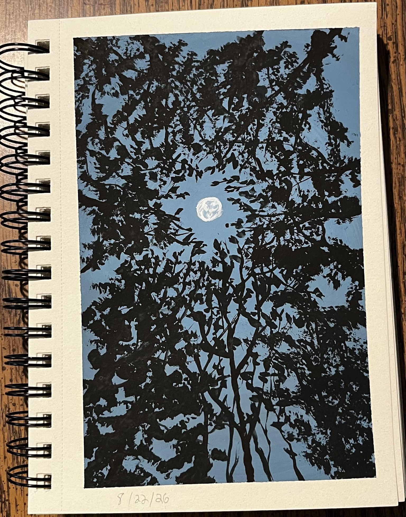 Gouache landscapes - image 8 - student project