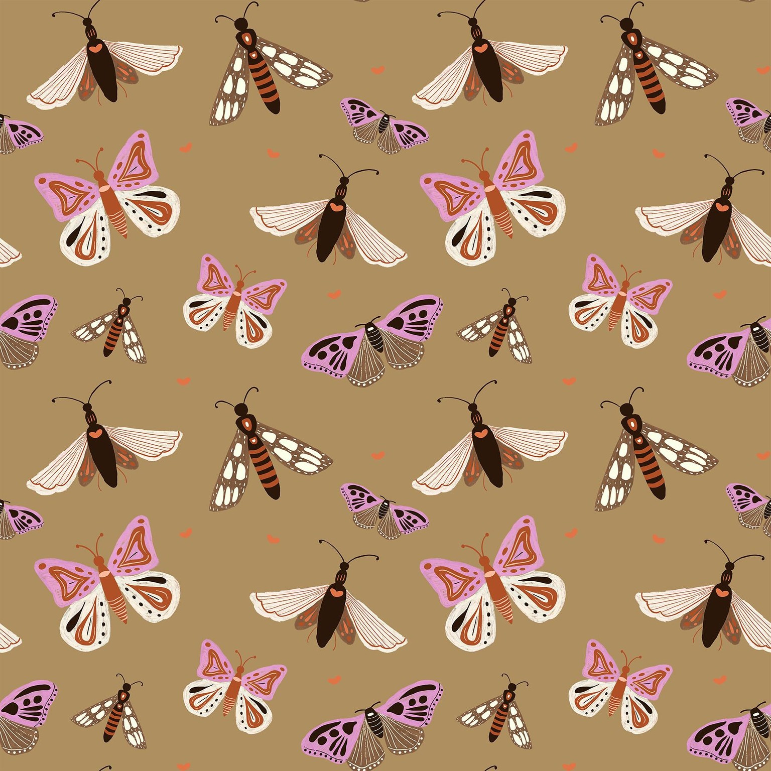 Moths - image 1 - student project