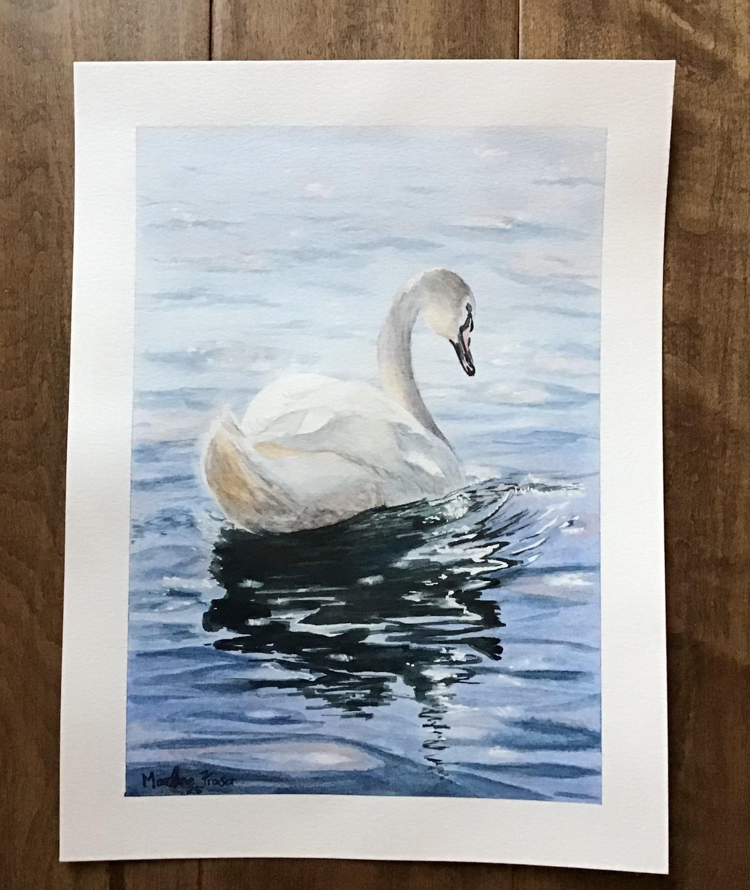 Seascapes Boat and Seascapes Swan with Reflections - image 2 - student project