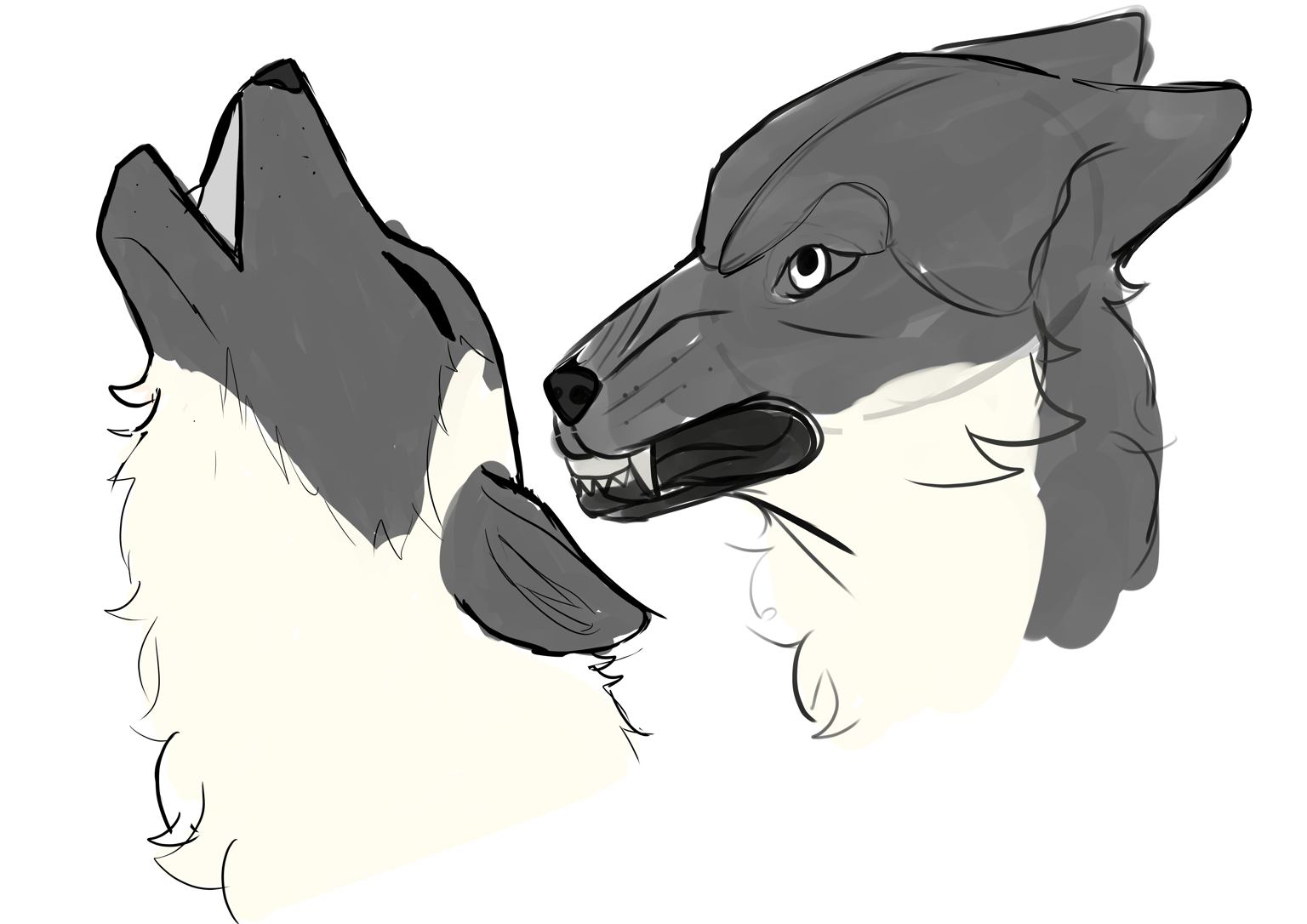 Wolf practice - image 4 - student project