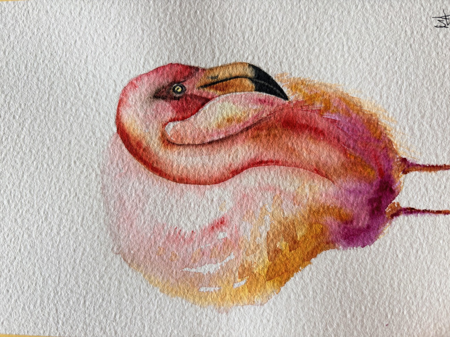 Flamingo - image 1 - student project