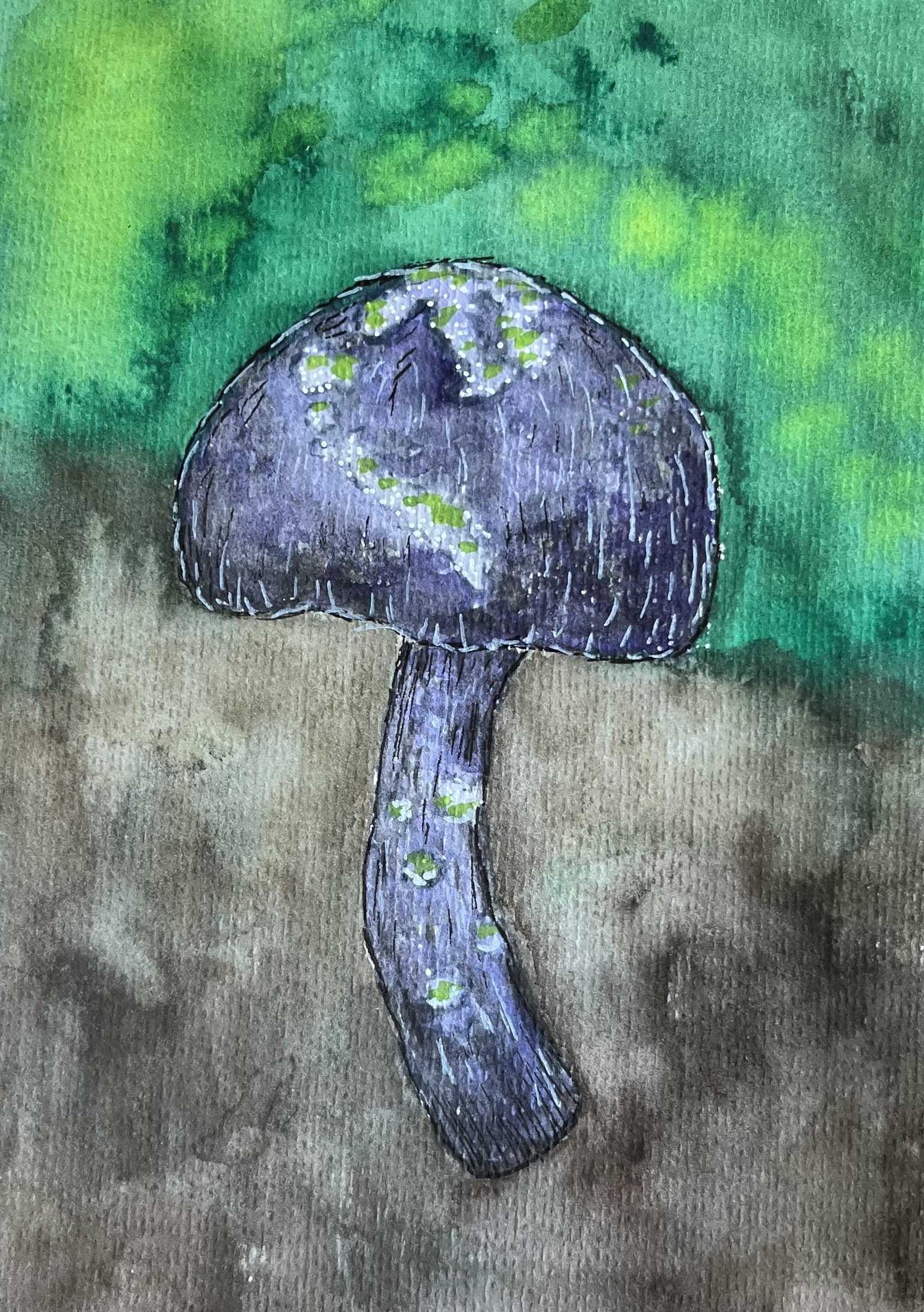 Nature observations - image 2 - student project