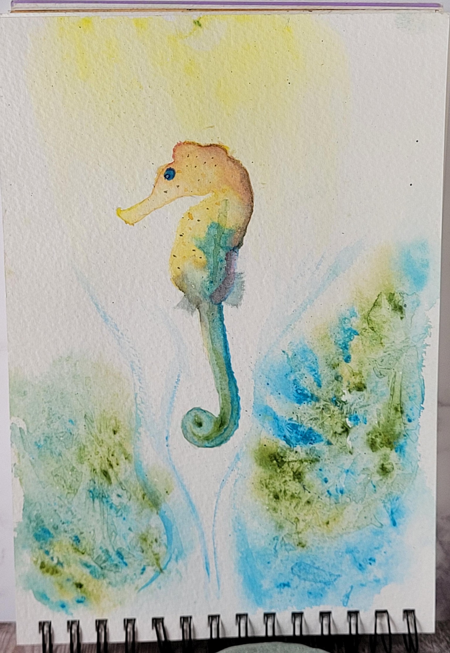 Seahorse - image 1 - student project