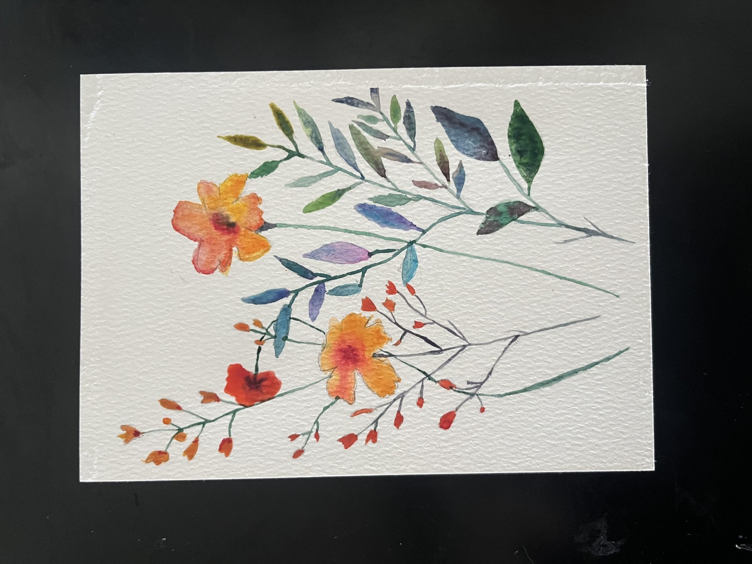 Poppies - image 1 - student project