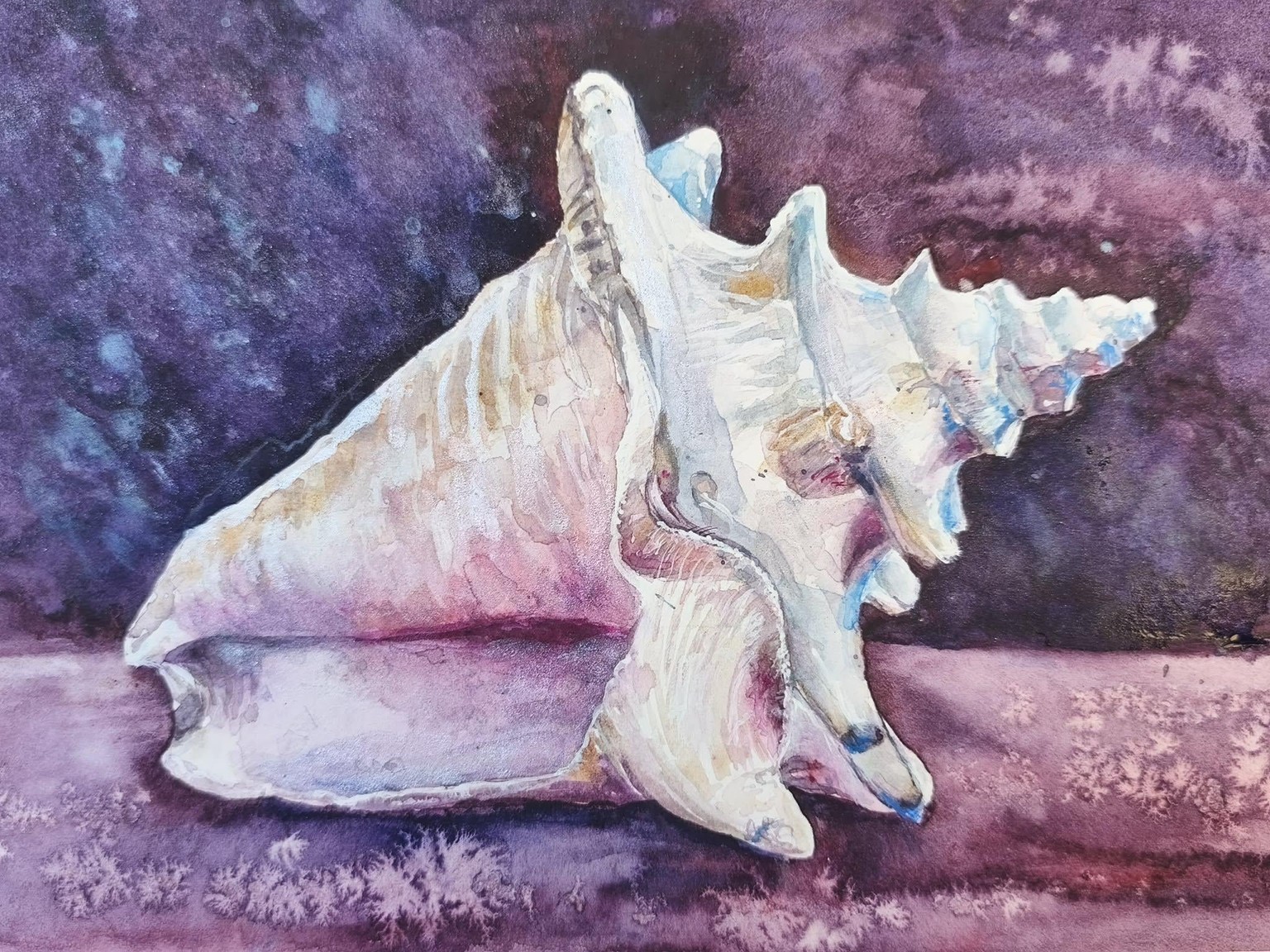 Mušle- křídlatka - image 1 - student project