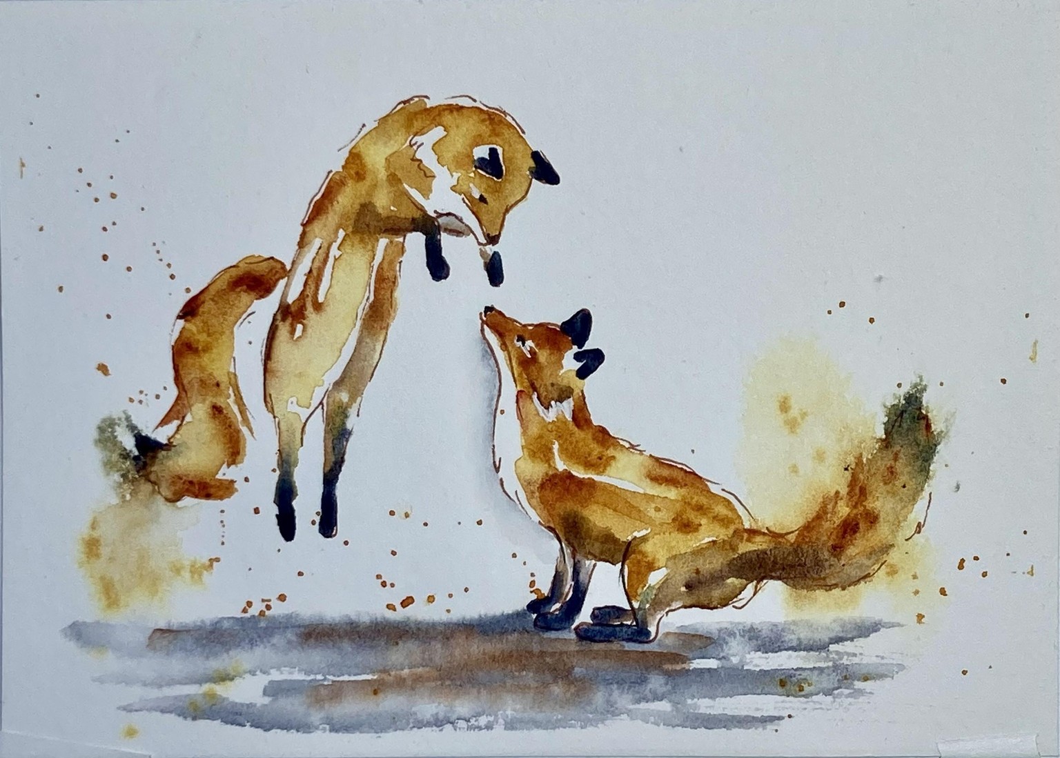 Playful Foxes - image 3 - student project
