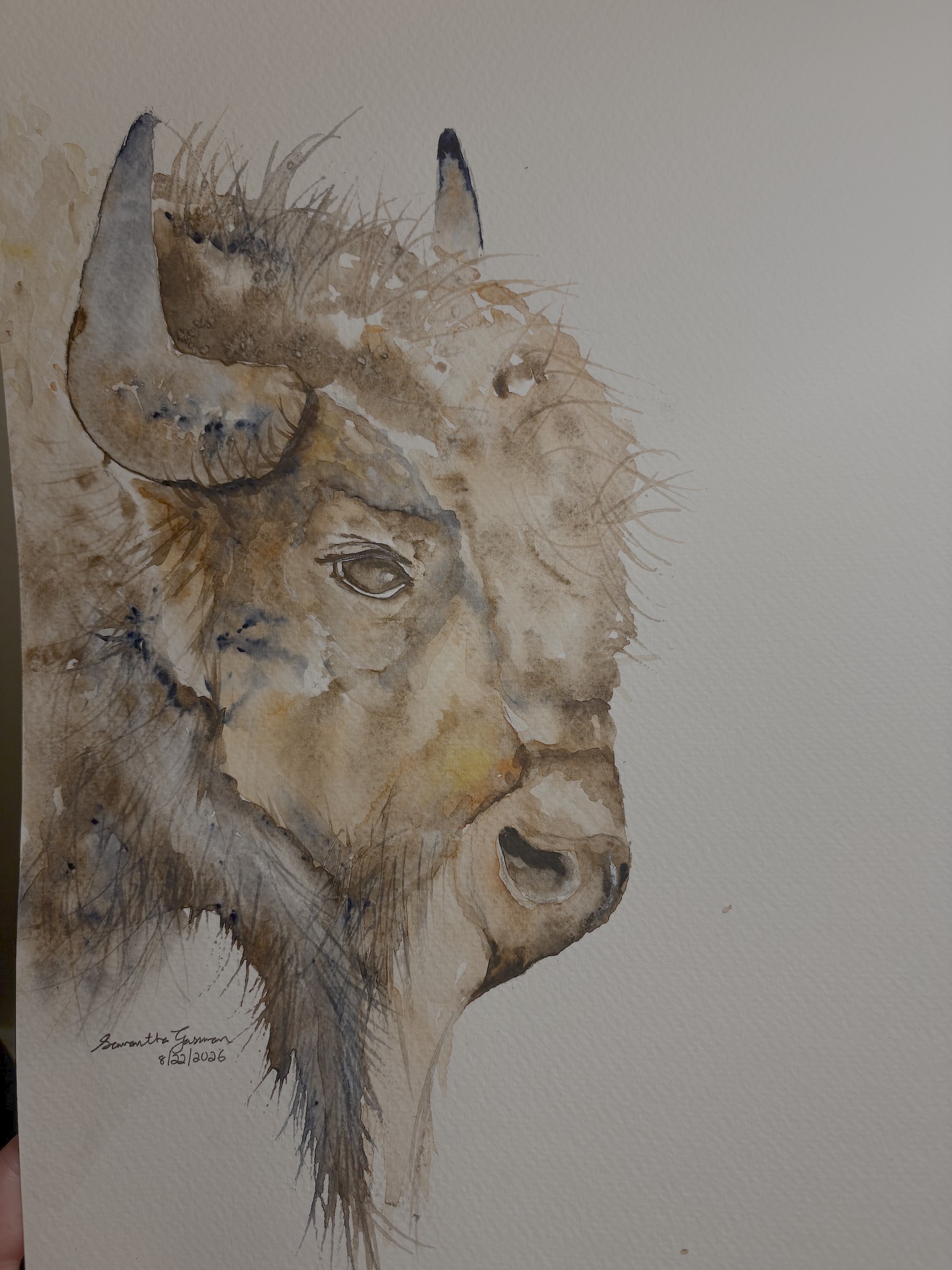 Bison painting - image 1 - student project