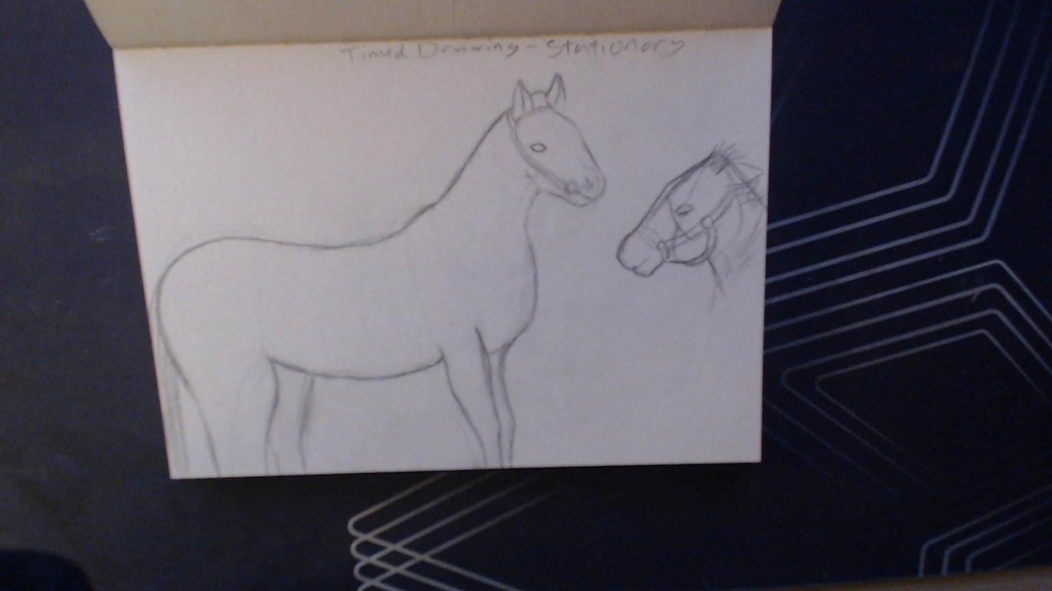 My Horse Drawing - image 4 - student project