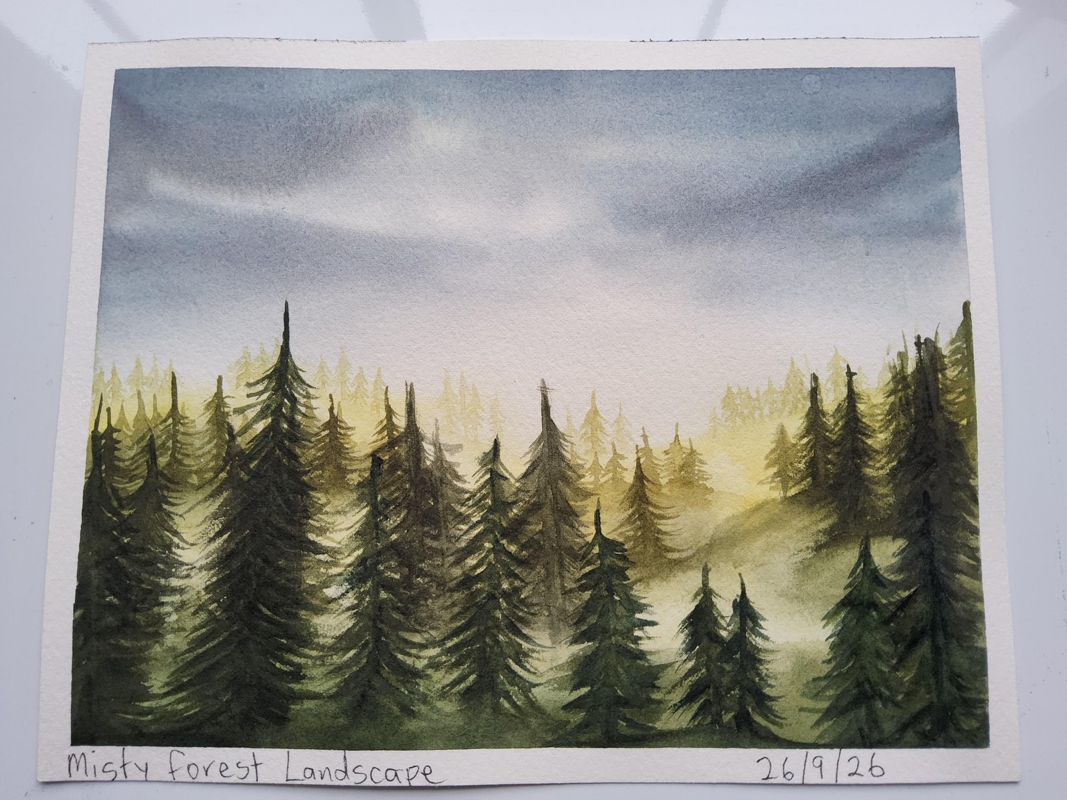 Misty Pine Forest - image 1 - student project