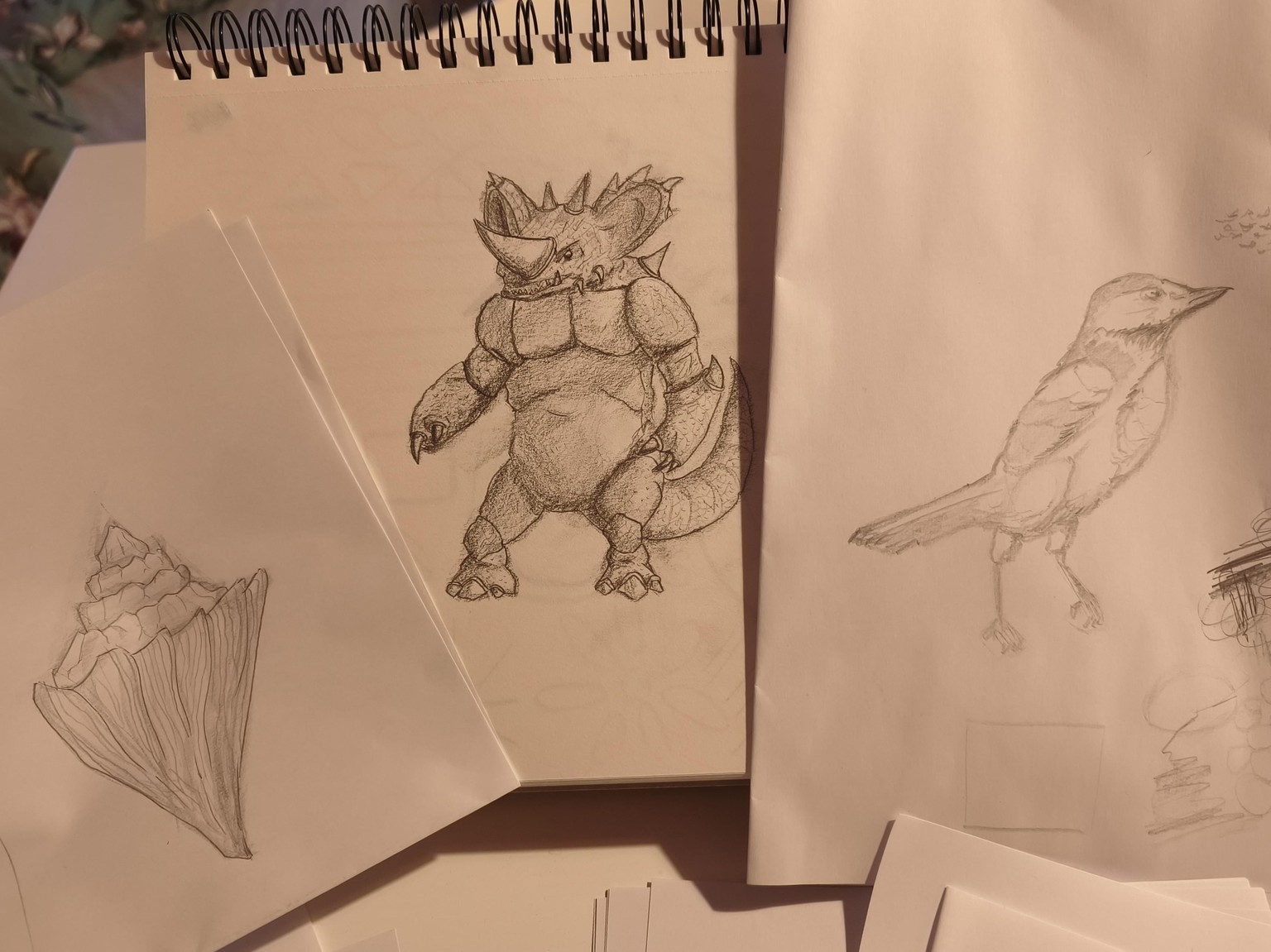 From Cardinals, Shells to Nidoking - image 1 - student project