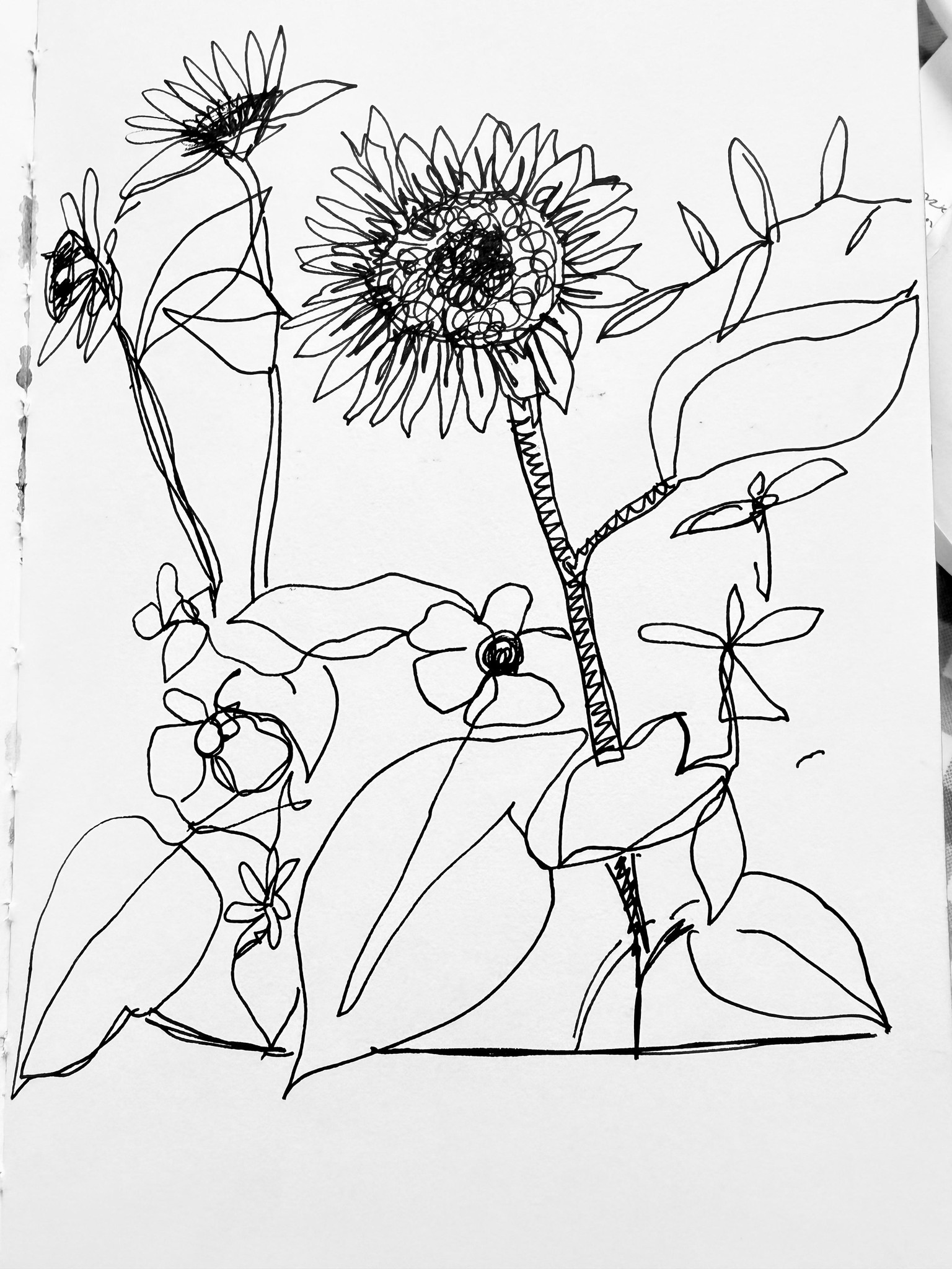 Flowers from my garden - image 1 - student project