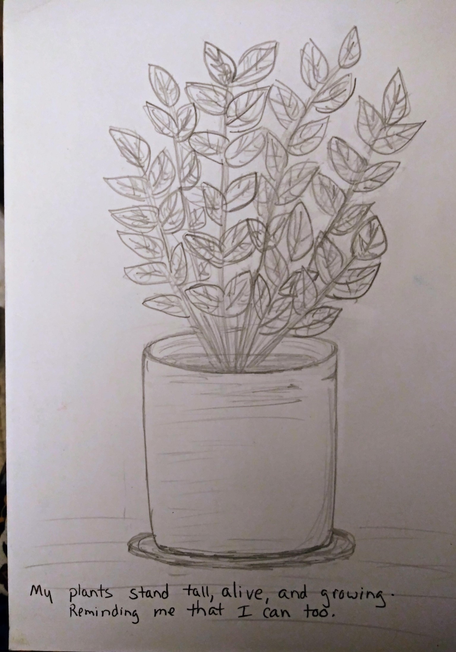 Quick Sketch, Calm Mind - image 1 - student project