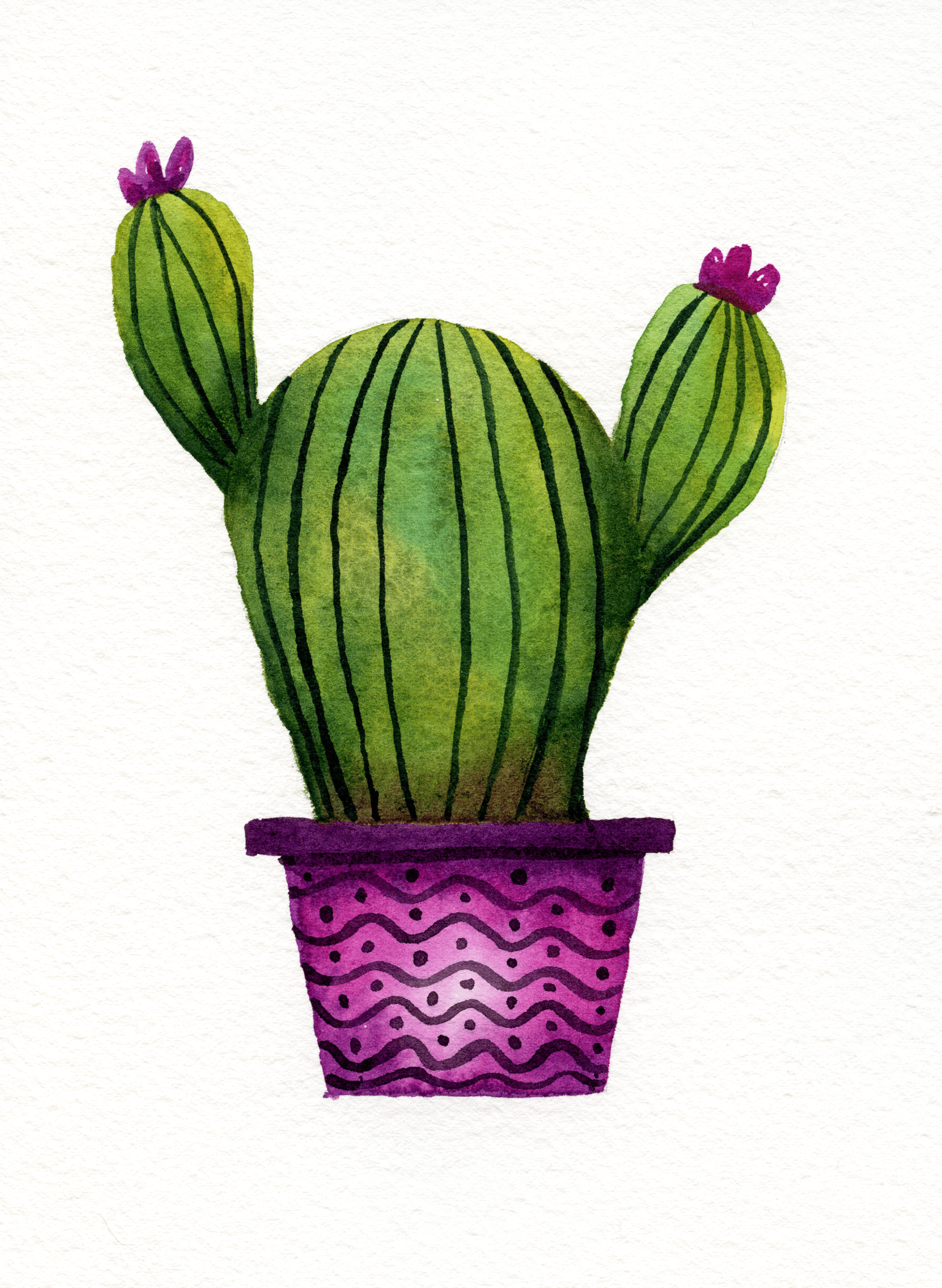 Bright Cacti Trio - image 1 - student project