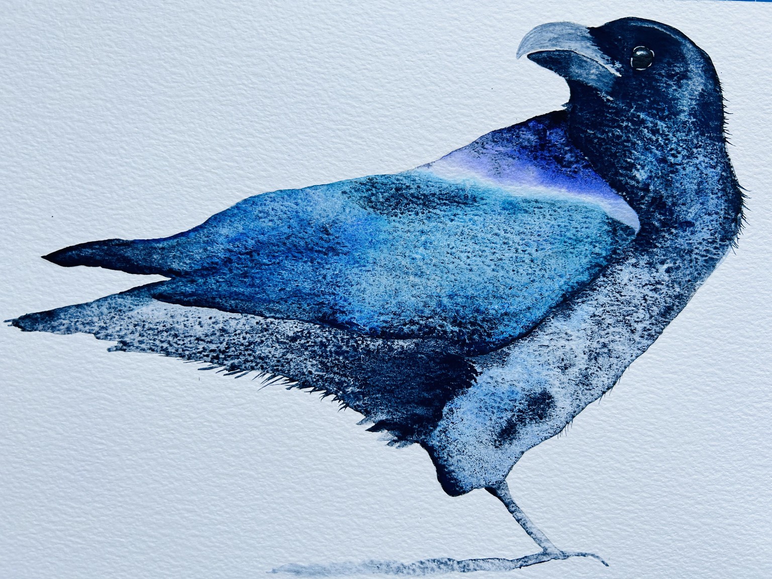 Raven - image 2 - student project