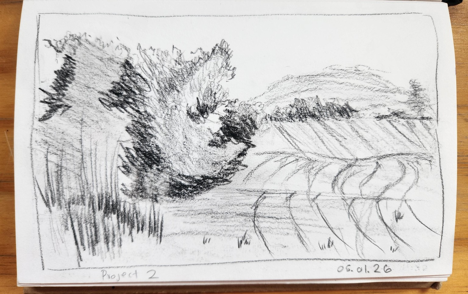 Grab a pencil and surprise yourself - image 2 - student project
