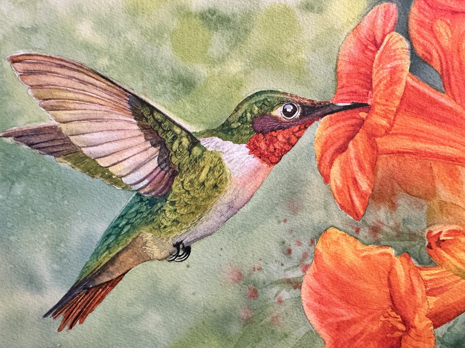 Watercolor Hummingbird - image 1 - student project