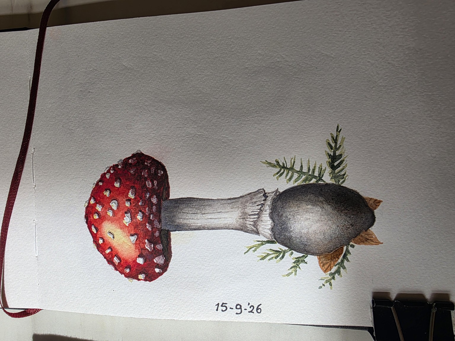 Natura Illustrata mushroom - image 1 - student project