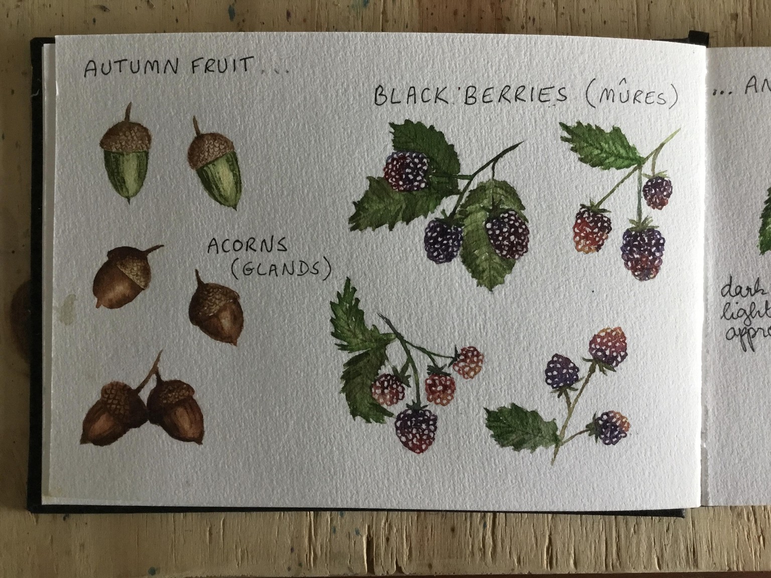 Autumn in Watercolour - image 3 - student project