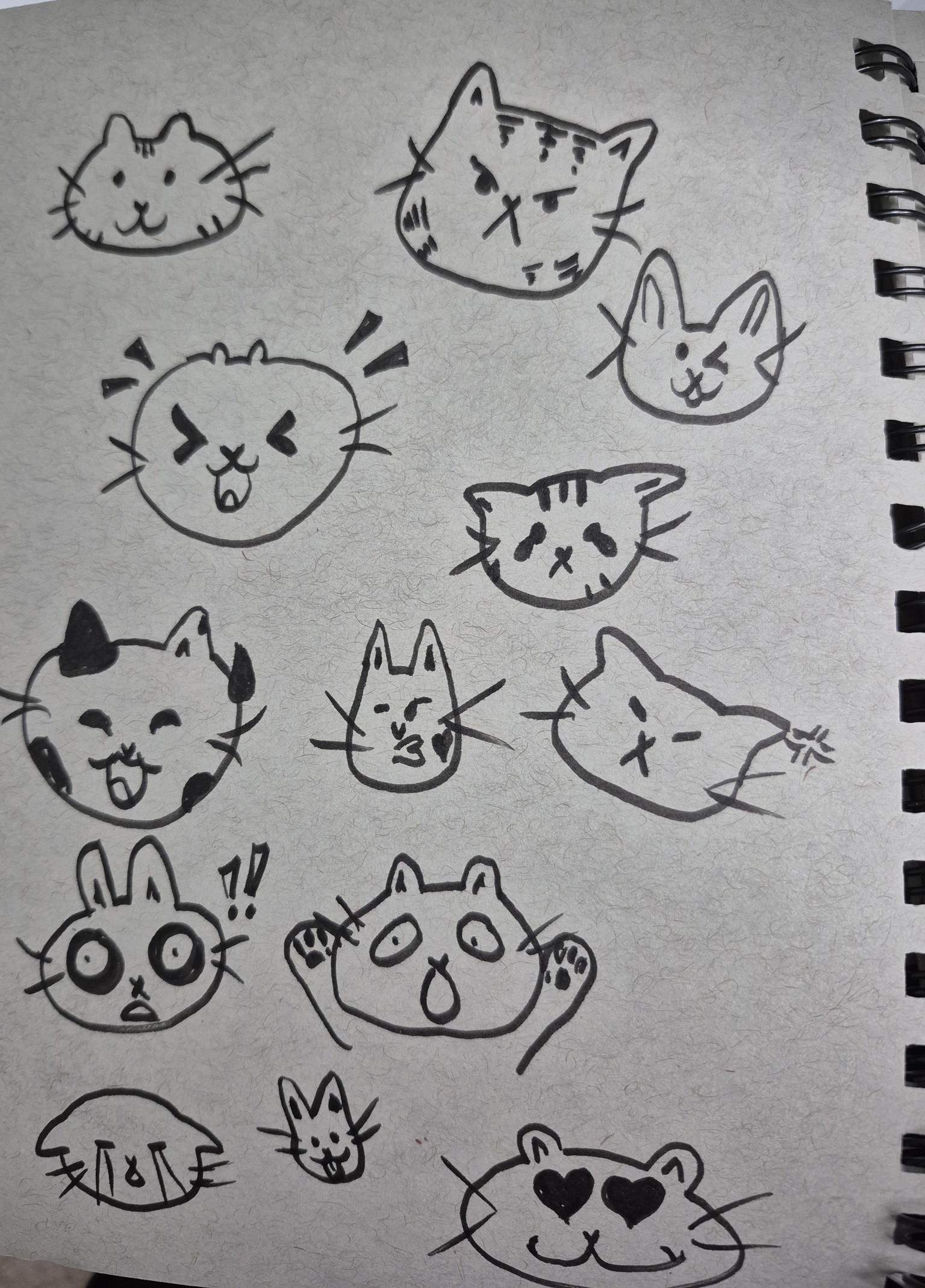 Sketching Cats Days 1-3 - image 2 - student project