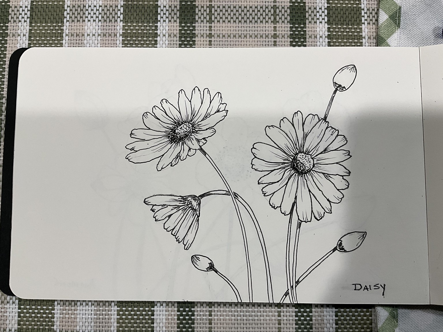 Botanical Drawing for Beginners - image 1 - student project