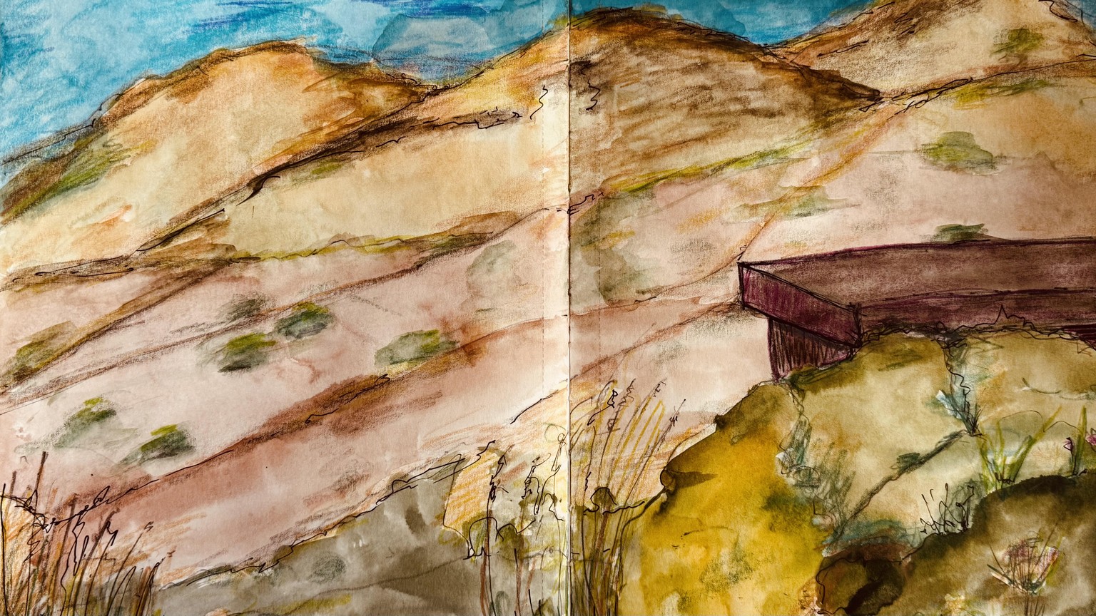 Watercolor, pencil, ink, then colored pencils in my sketchbook. Cold June morning. - image 1 - student project