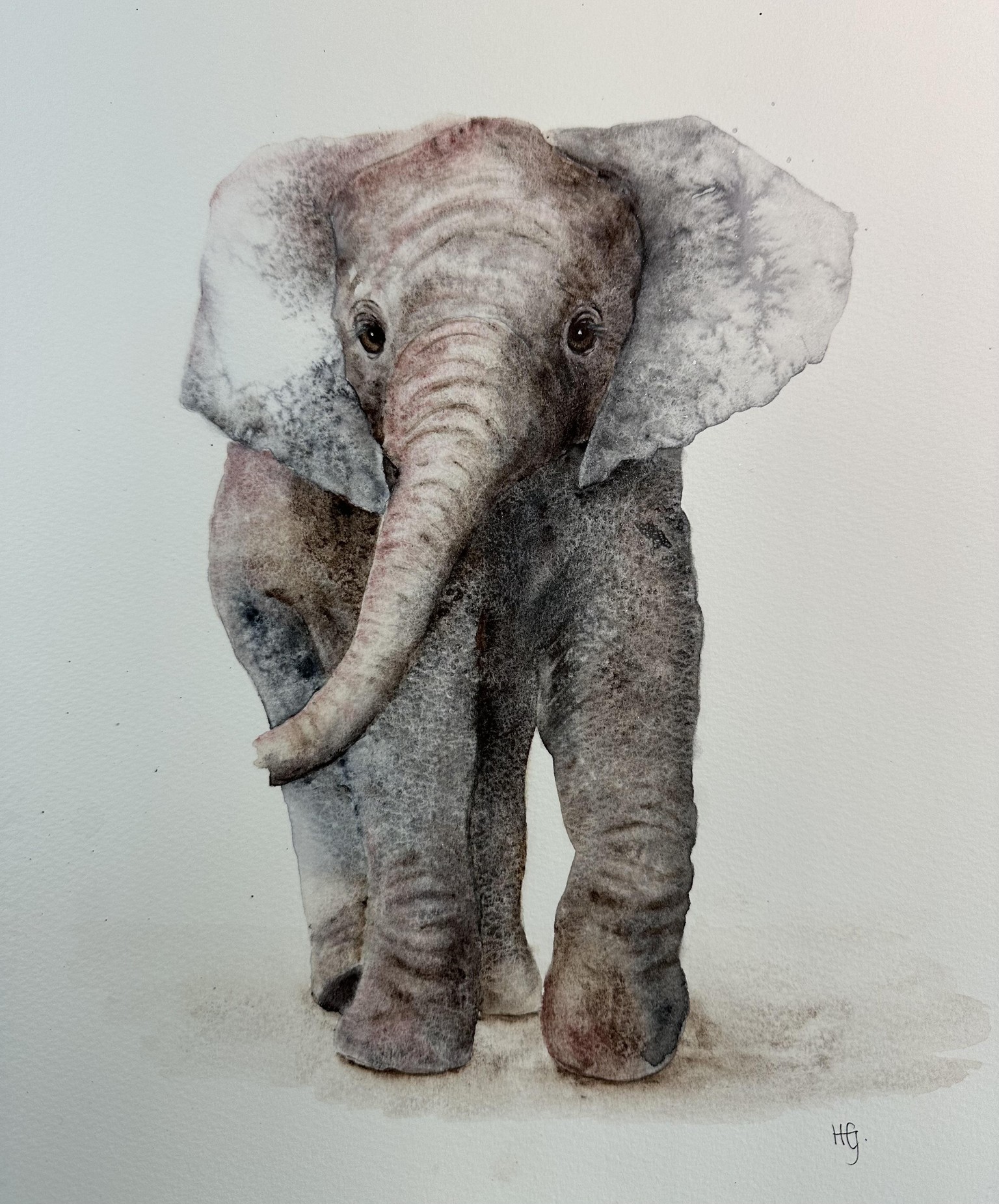 Baby elephant - image 1 - student project