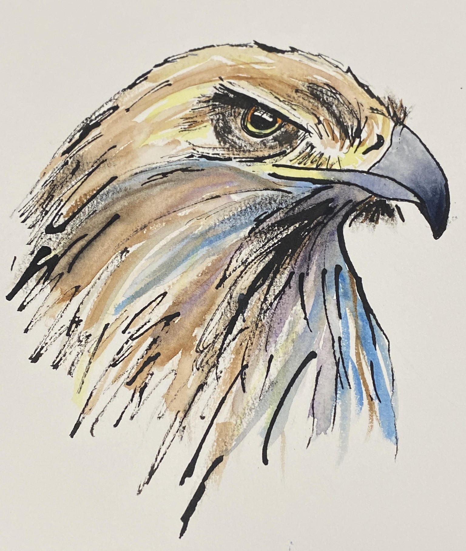 Eagle Eyes - image 1 - student project