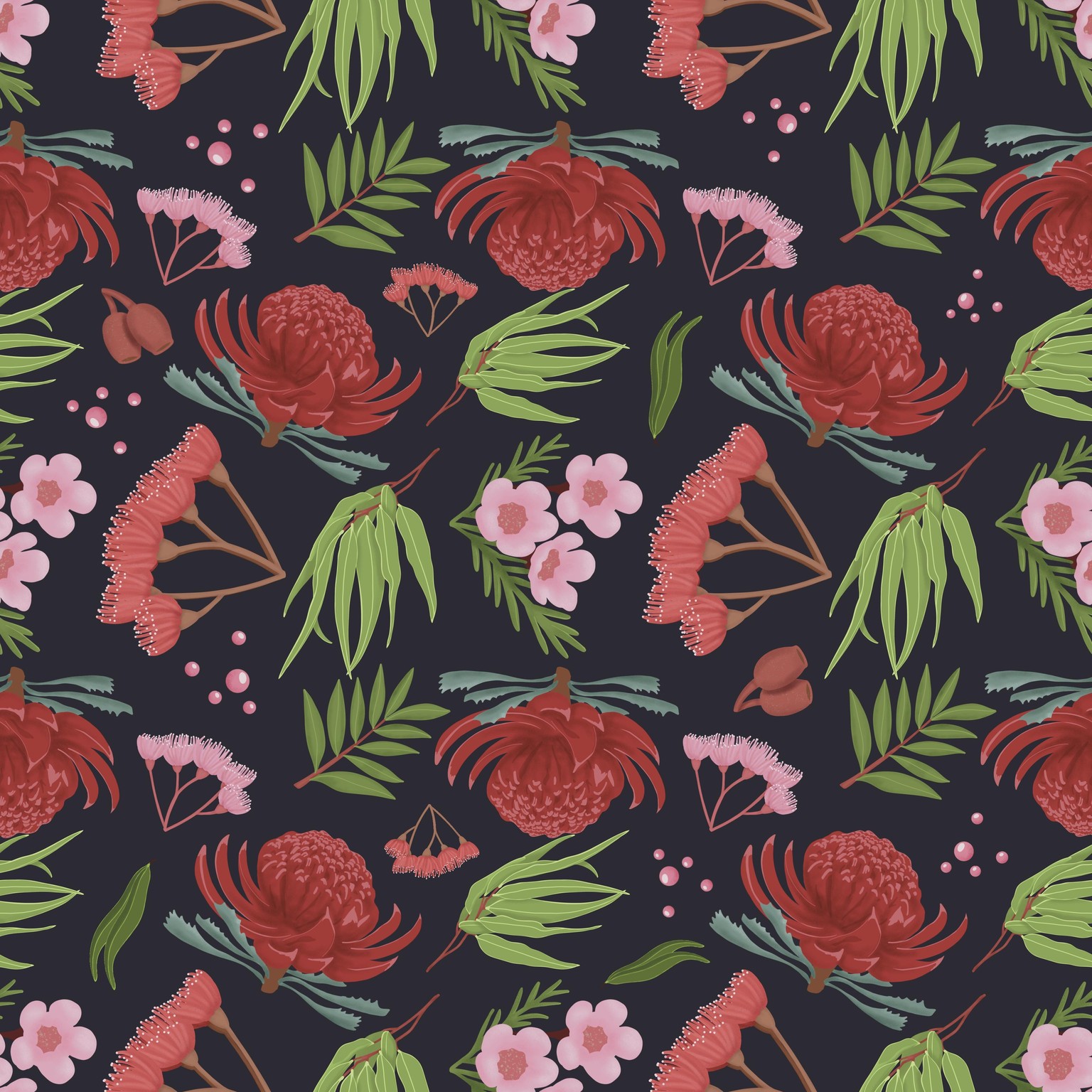 Australian Native Plants - image 3 - student project