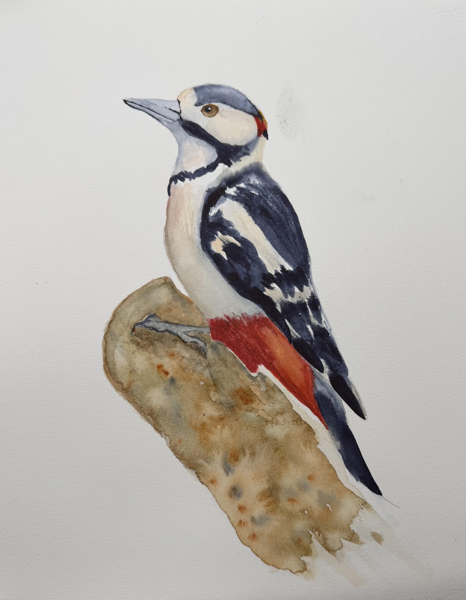 Woodpecker - image 1 - student project