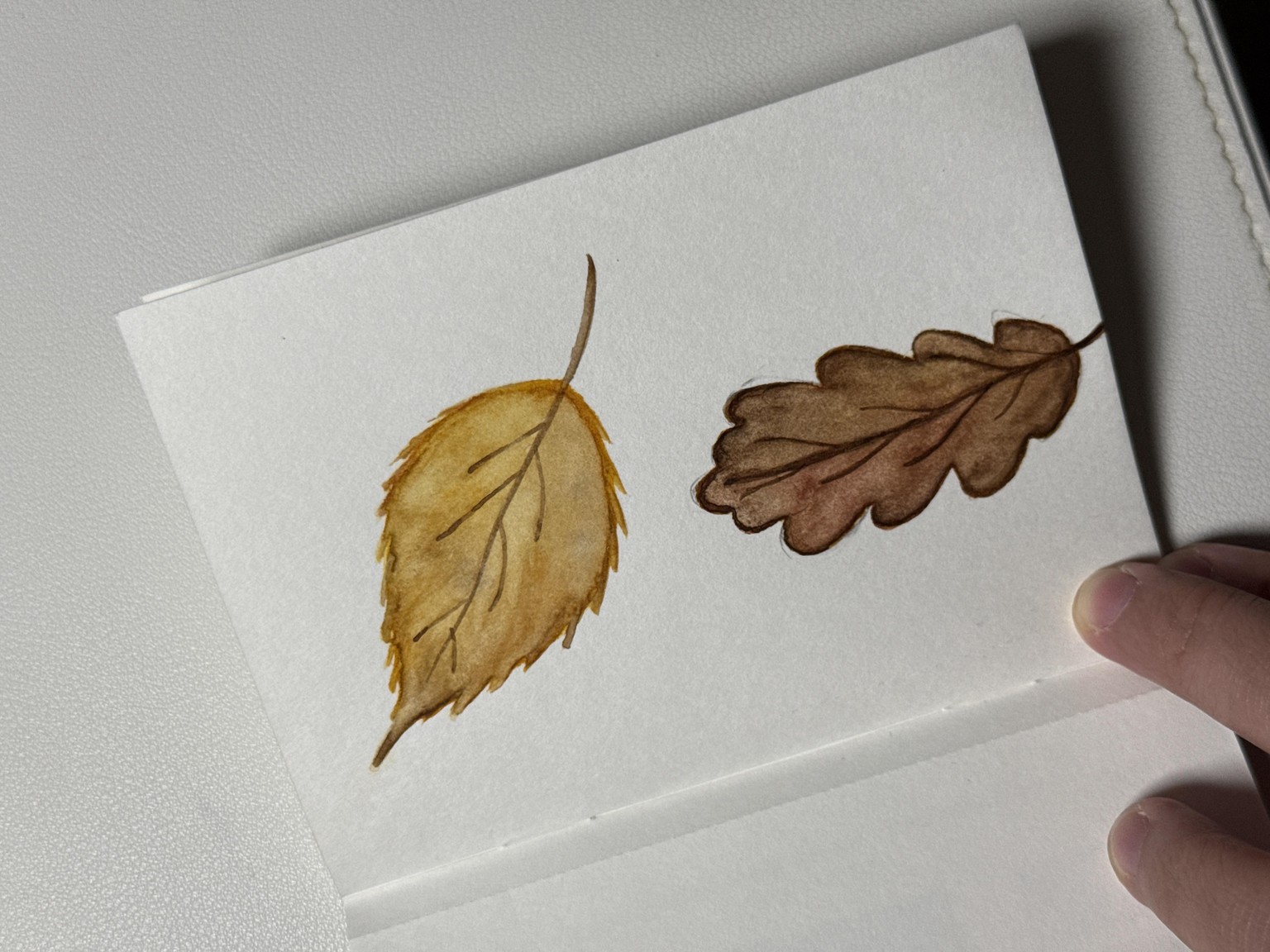 Autumn leaves - image 2 - student project