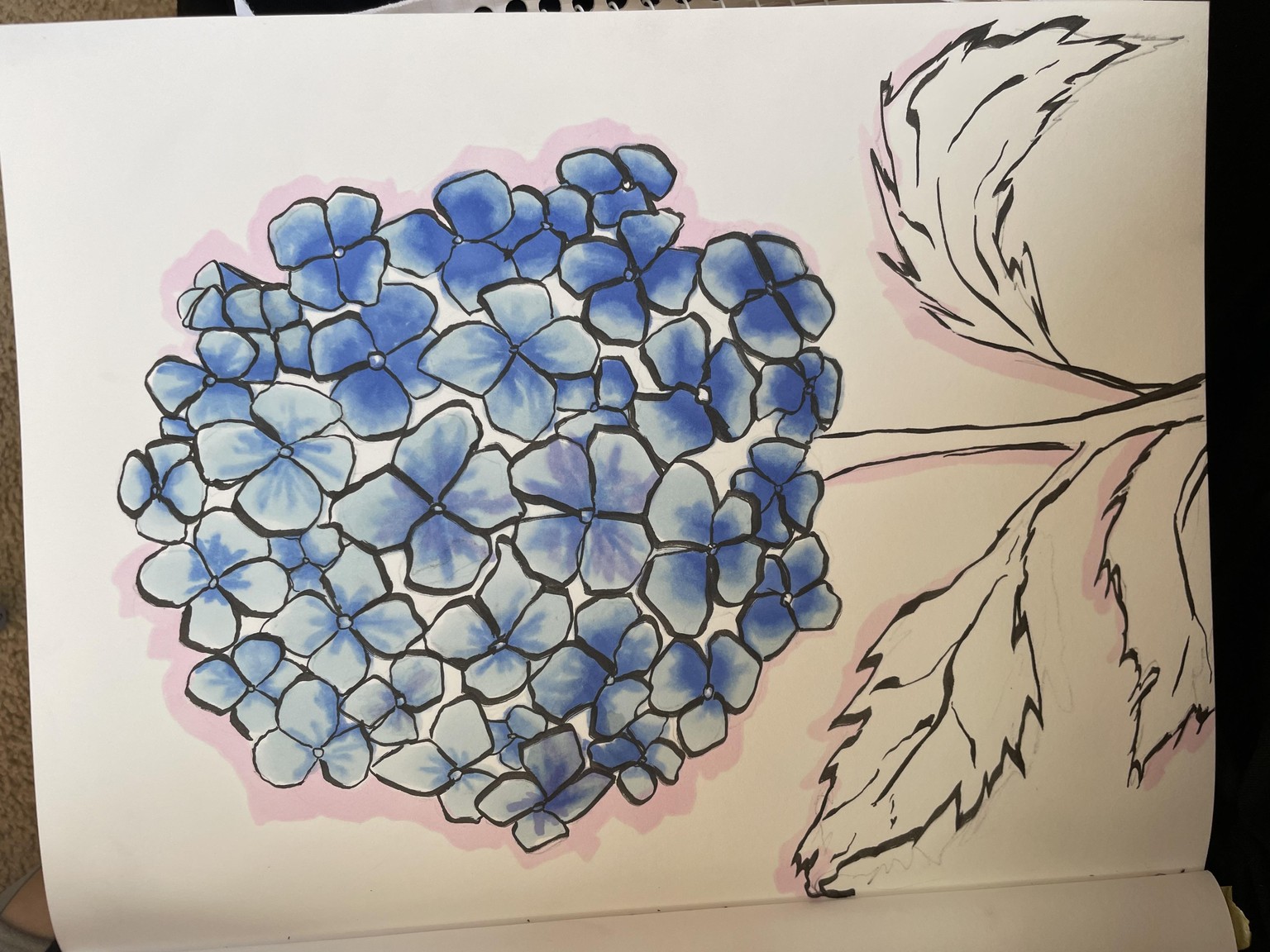 Hailey’s Hydrangea :-) - image 2 - student project
