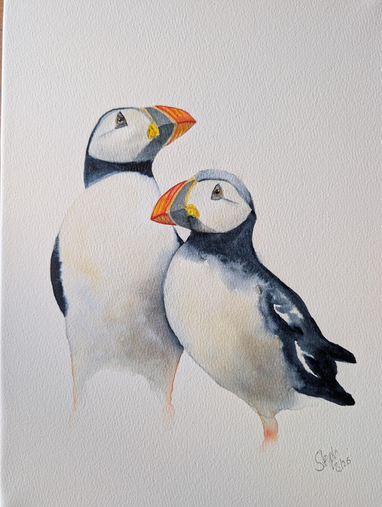 Lovely Puffins - image 1 - student project