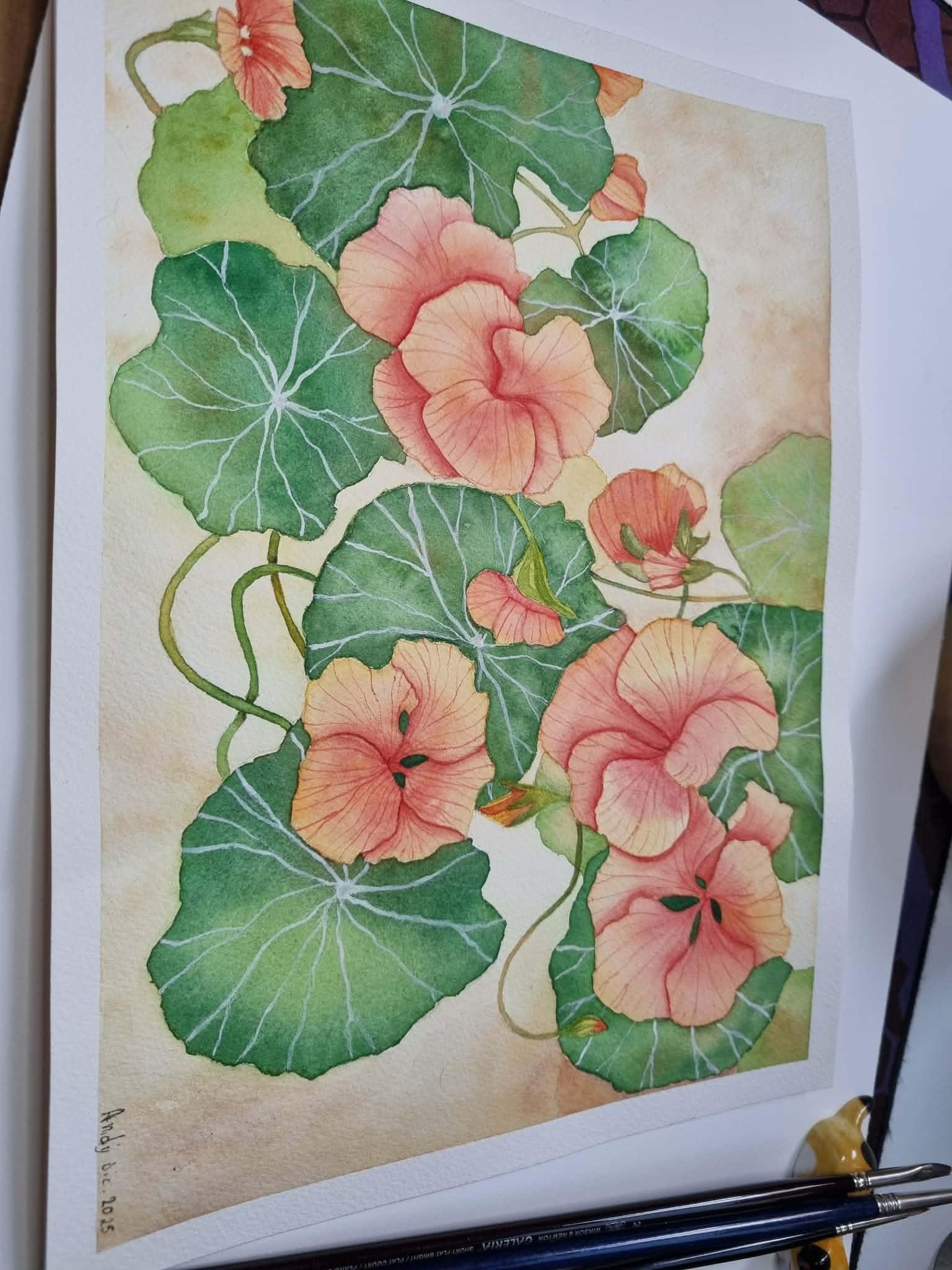 Capuccinas en acuarela - image 1 - student project