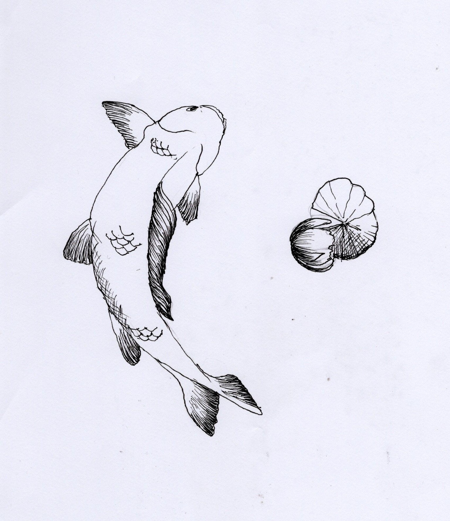 Toile de Chine - image 2 - student project