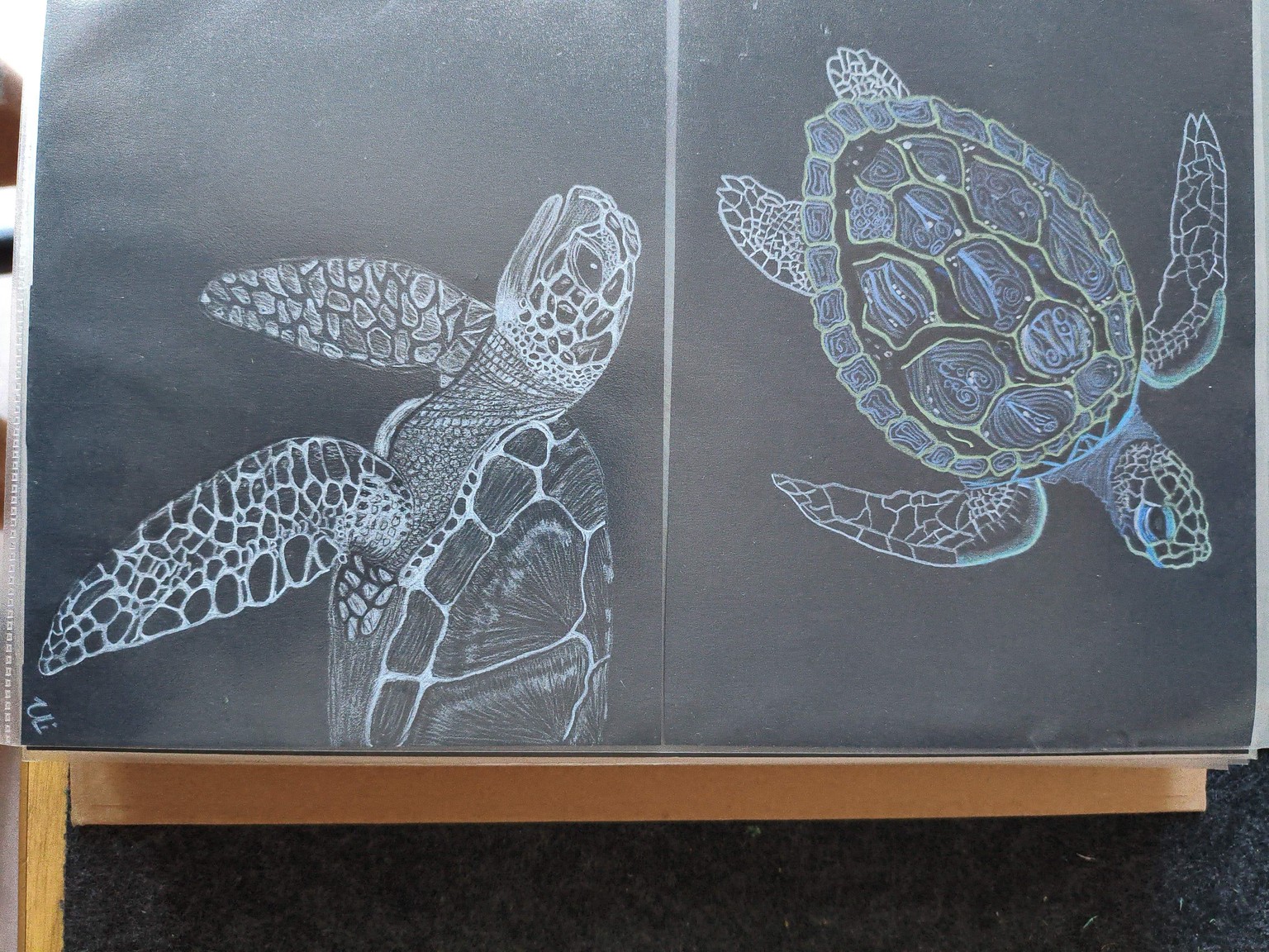 Schildkröten - image 1 - student project