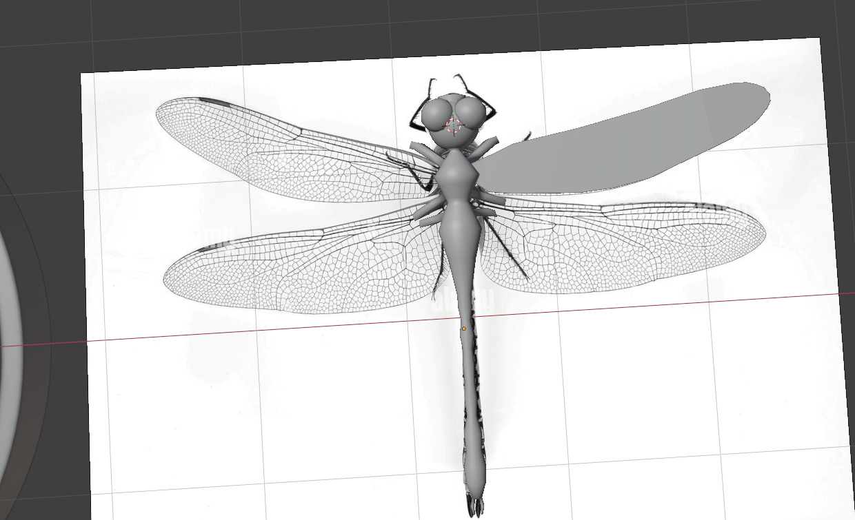 A dragonflies rest - image 2 - student project
