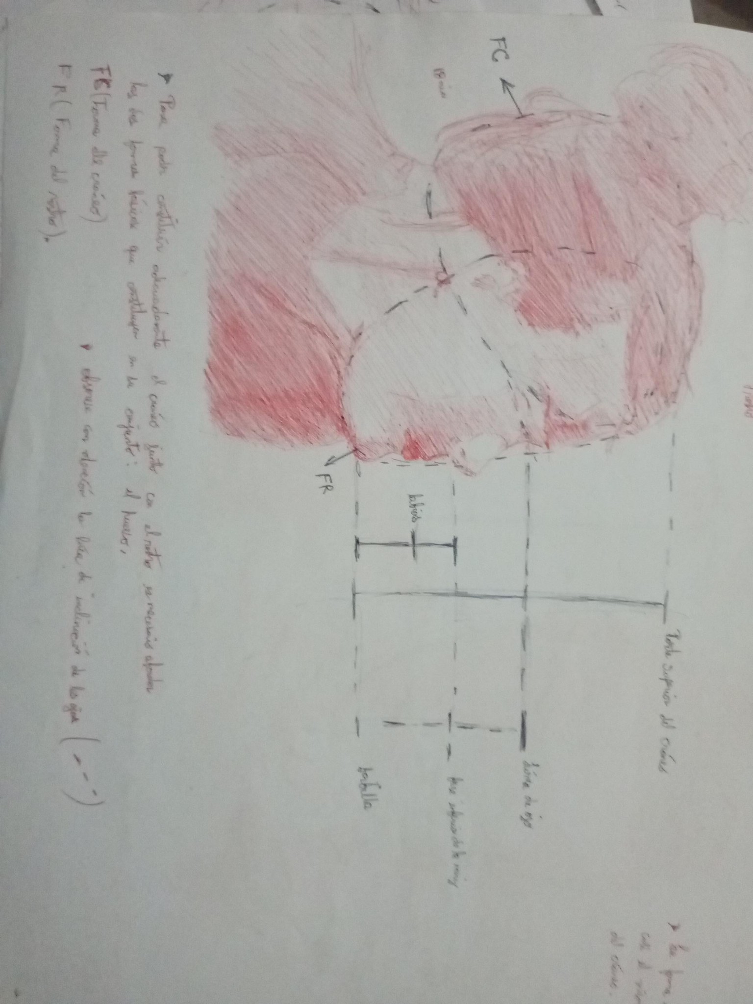 Volumen and structure - image 11 - student project